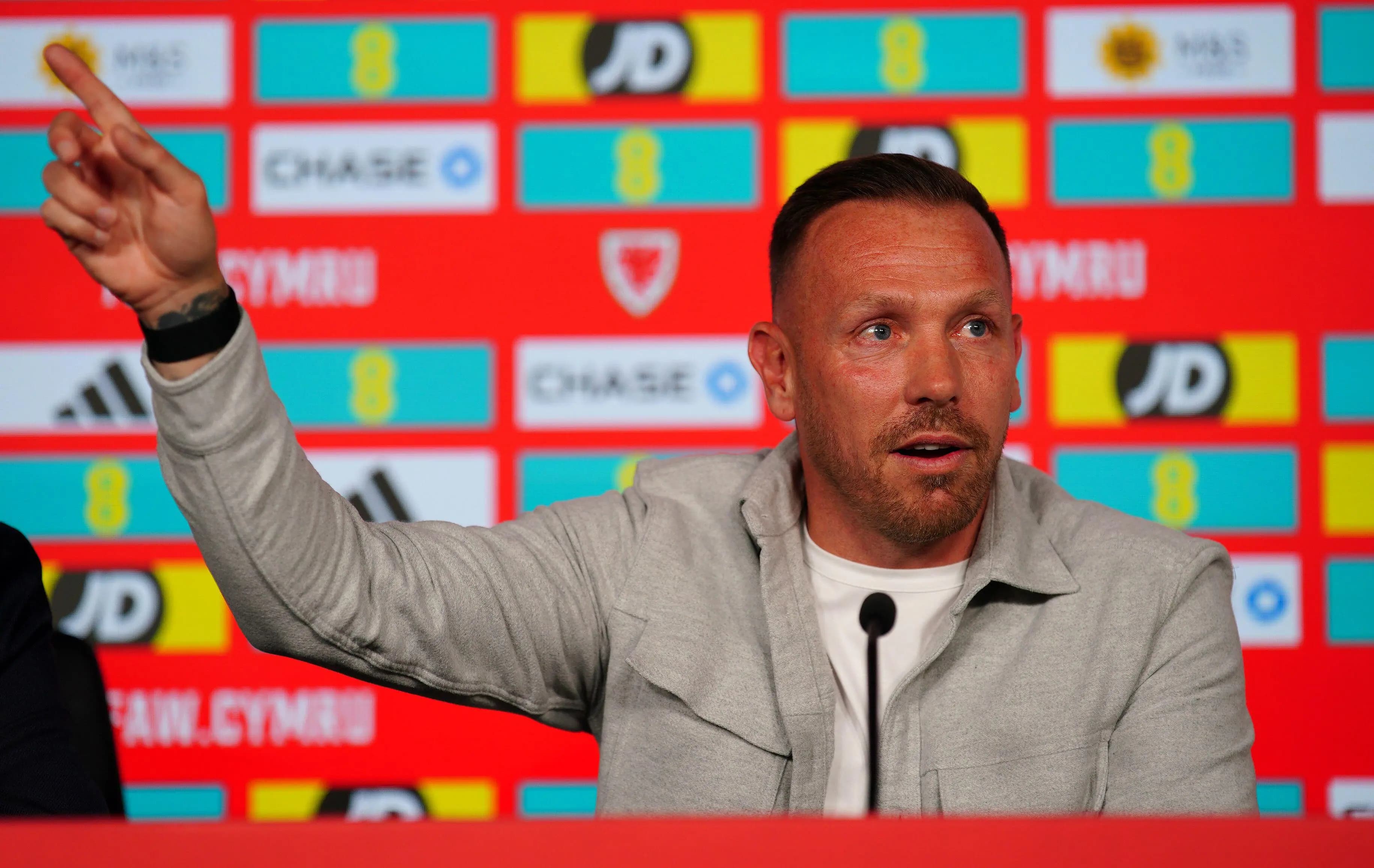 Craig Bellamy of Wales. Pic. Alamy
