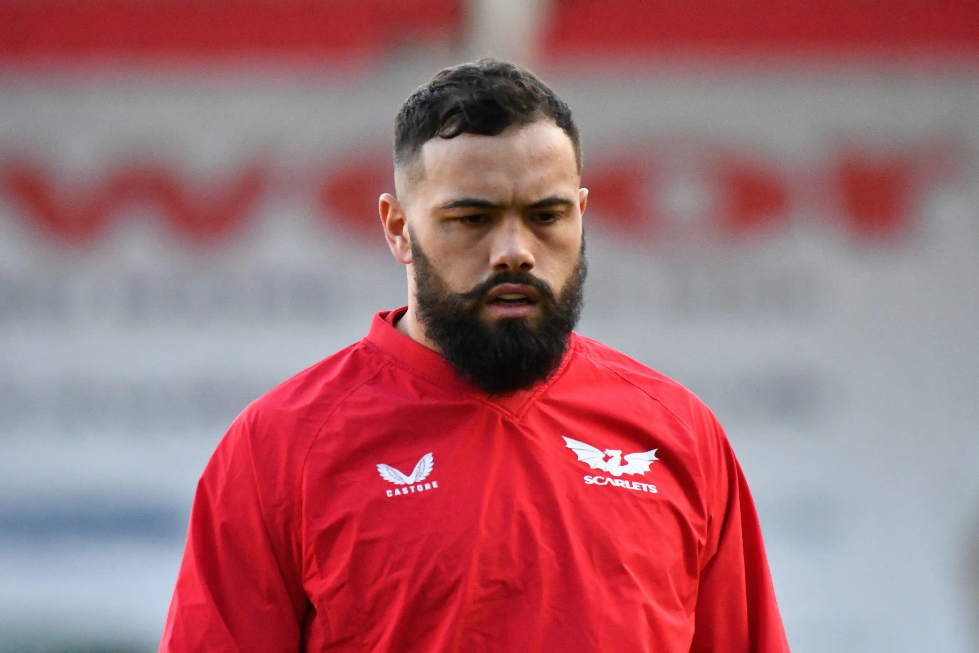 Josh Macleod of Scarlets. Pic: Alamy