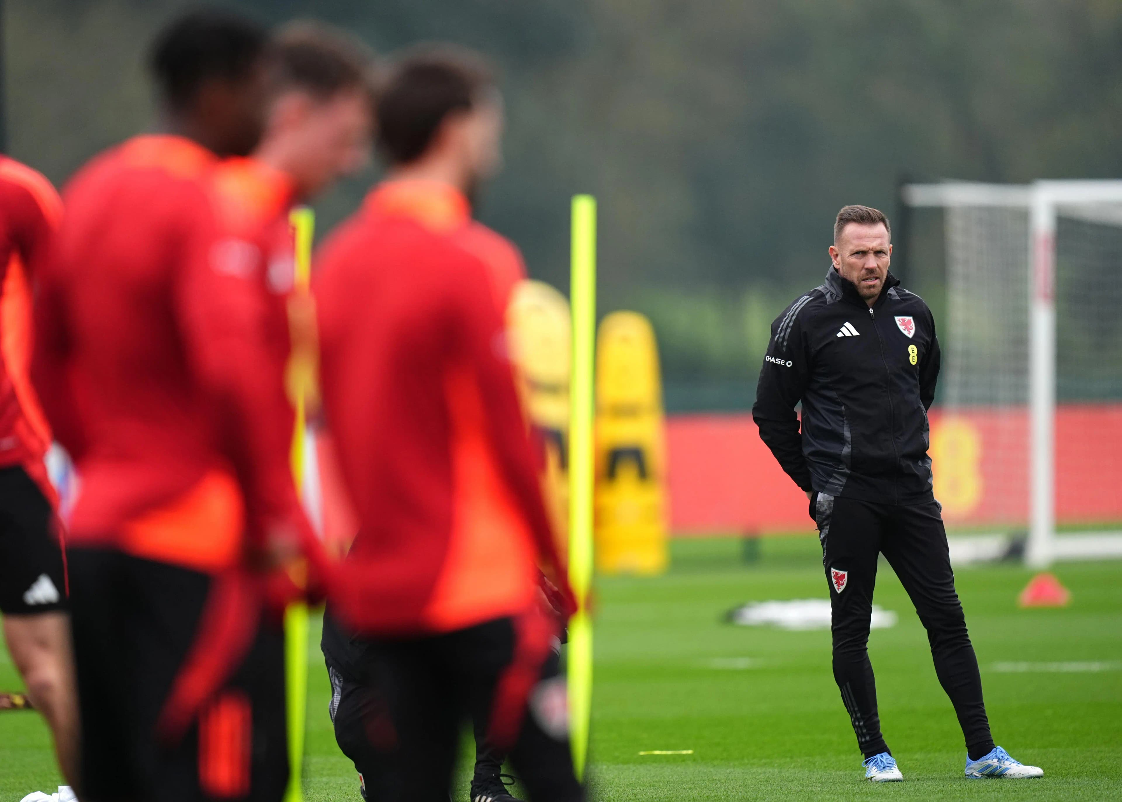 Wales manager Craig Bellamy. Pic: Alamy