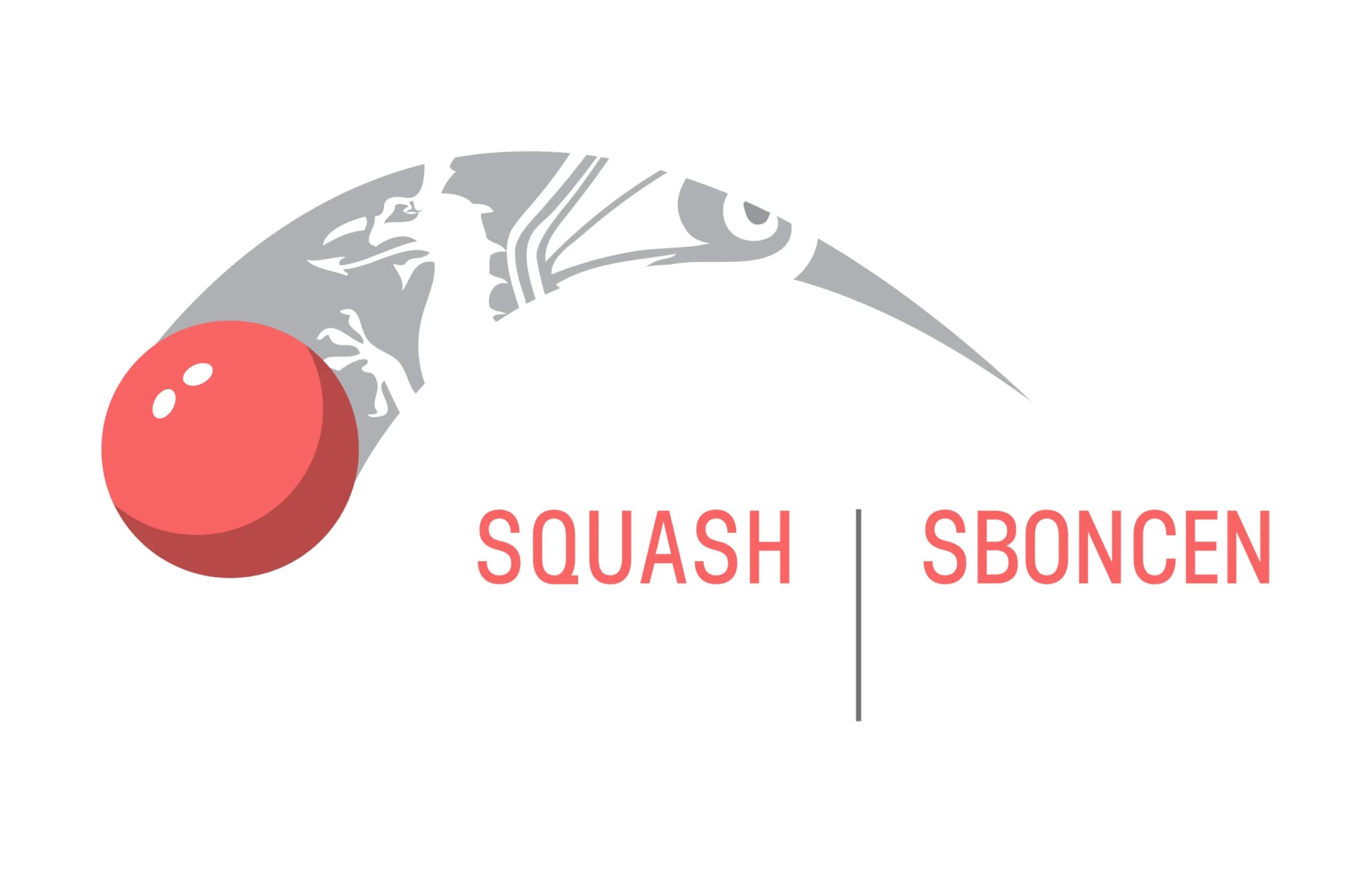 Welsh squash logo
