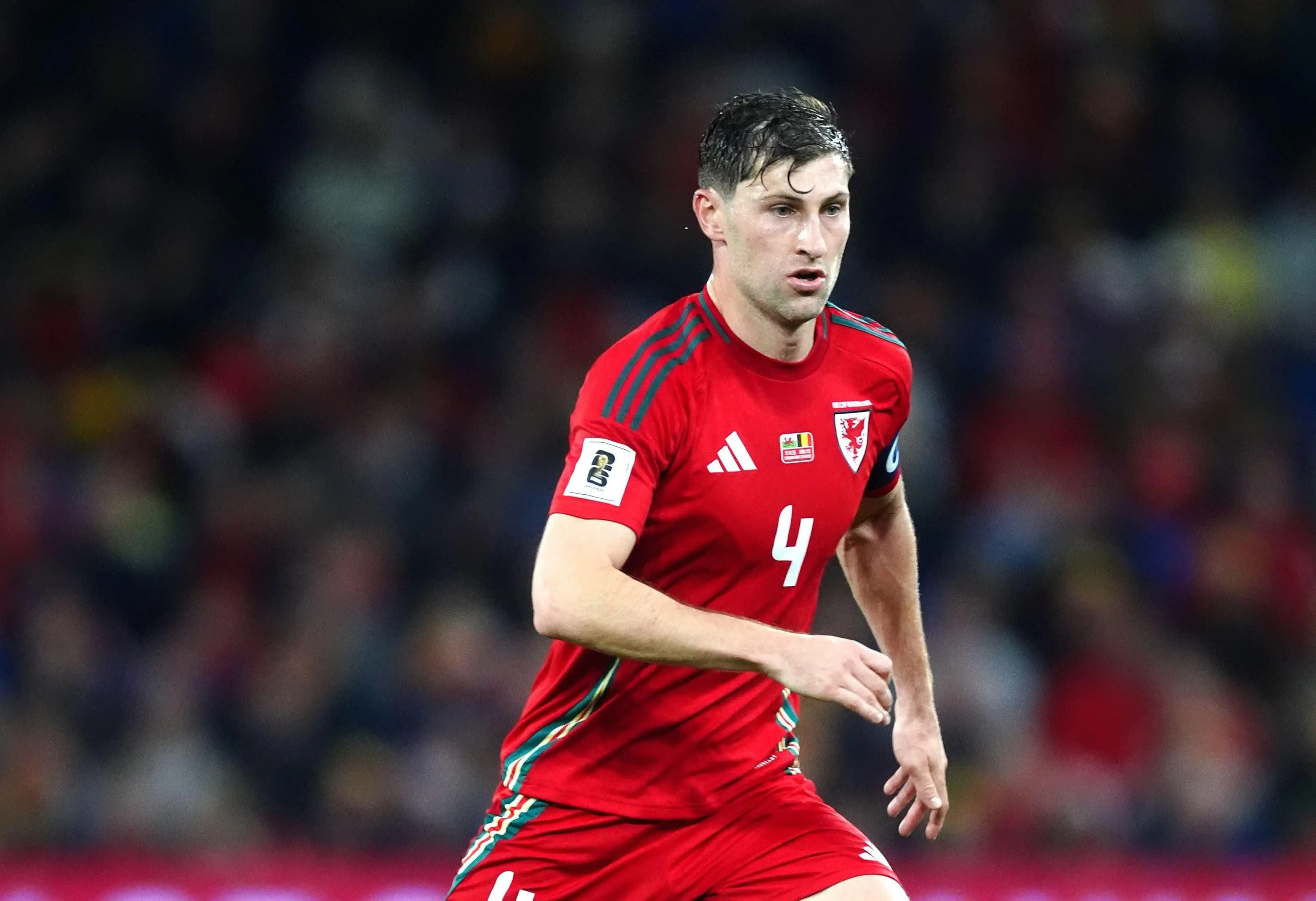 Wales captain Ben Davies. Pic. Alamy