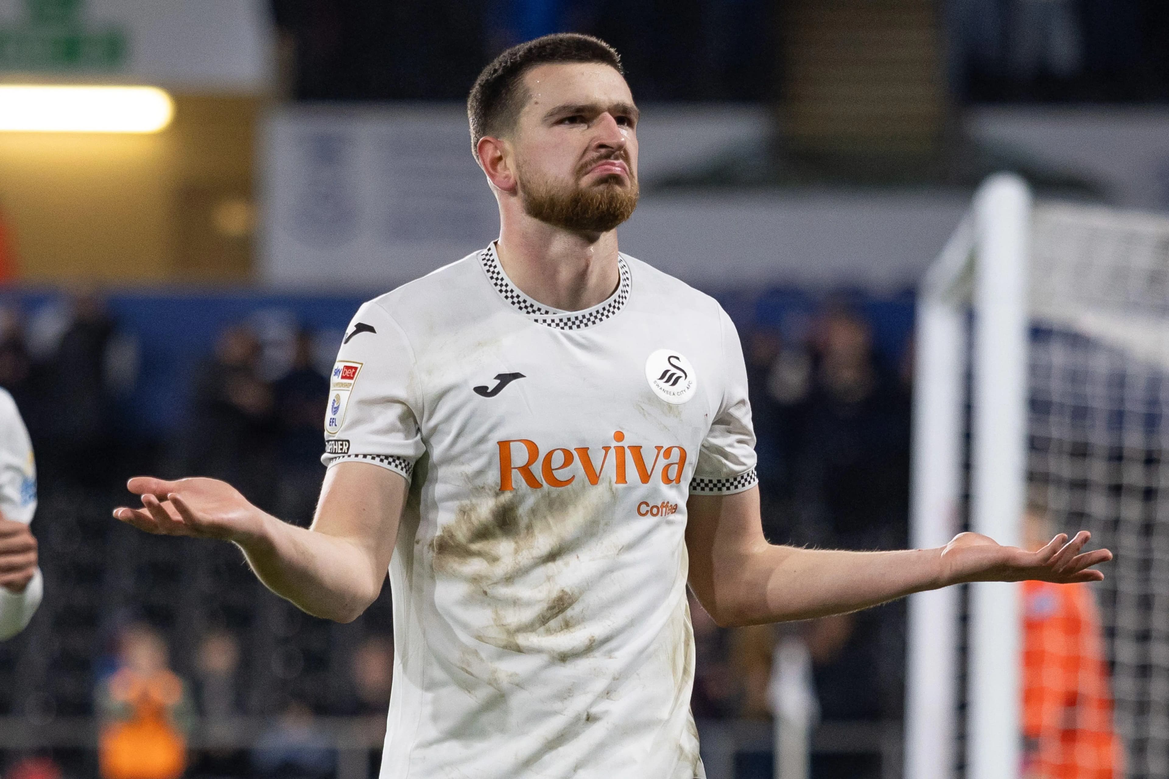 Zan Vipotnik of Swansea City. Pic: Alamy