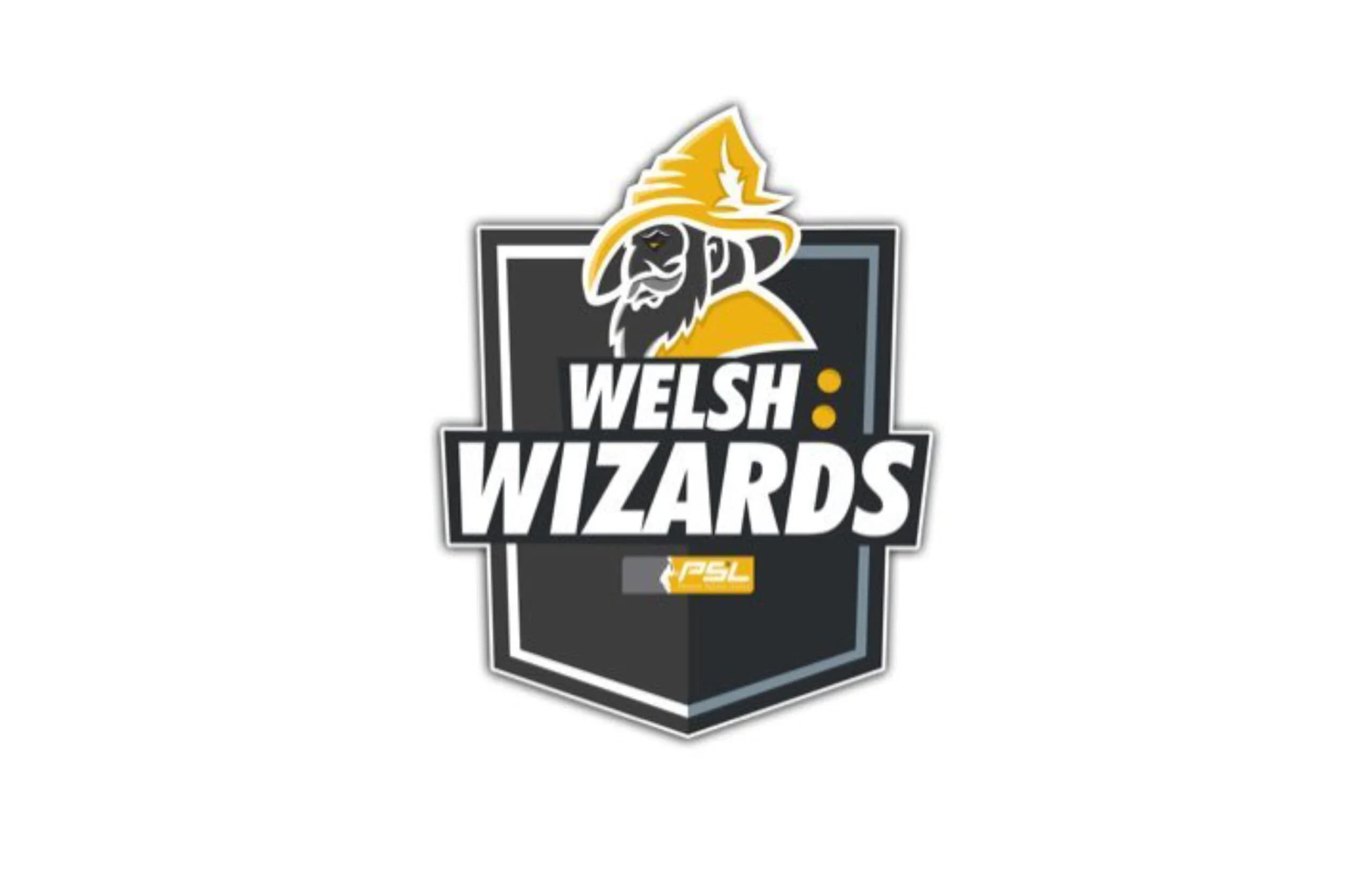 Welsh Wizards logo