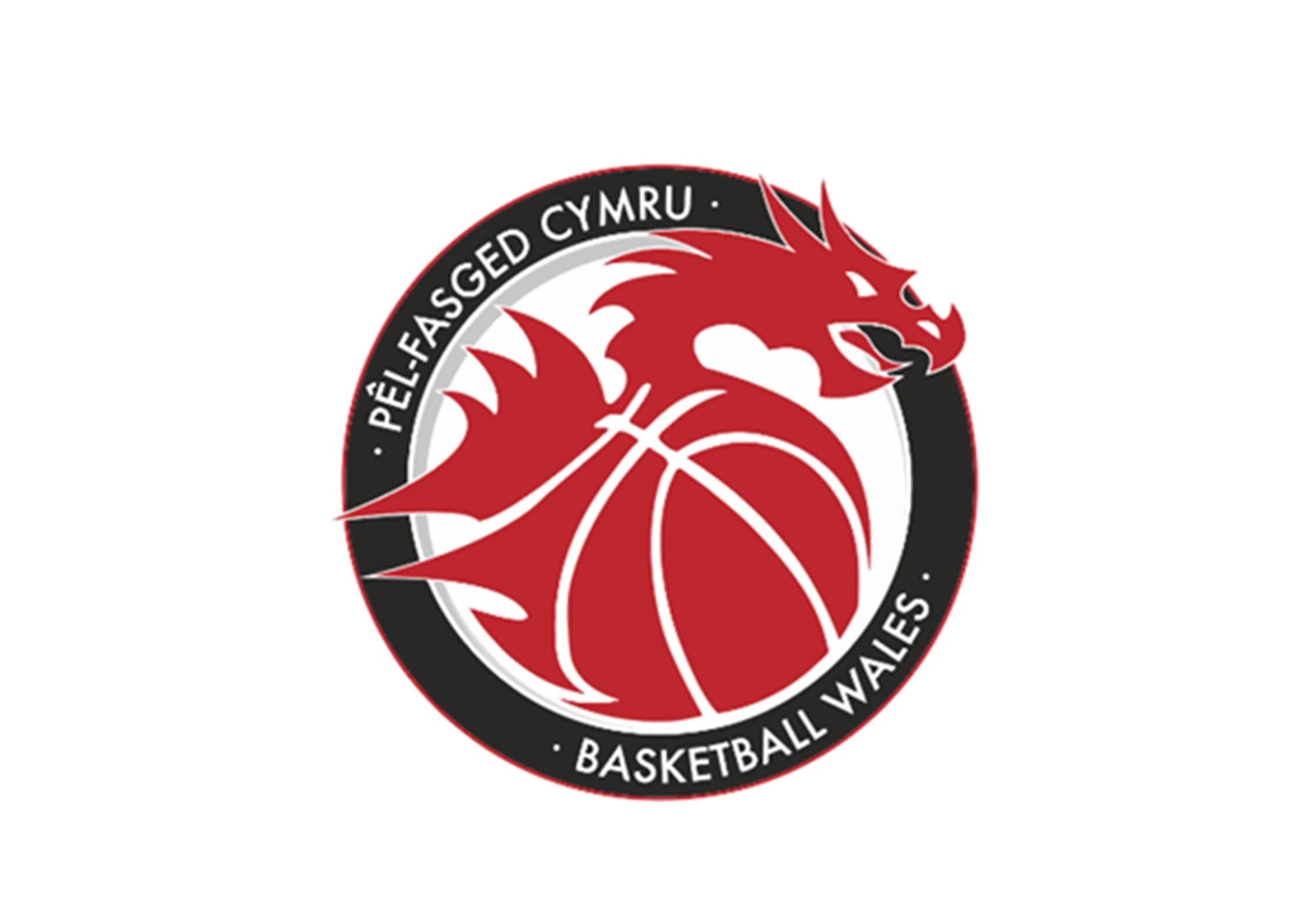 Wales Basketball logo
