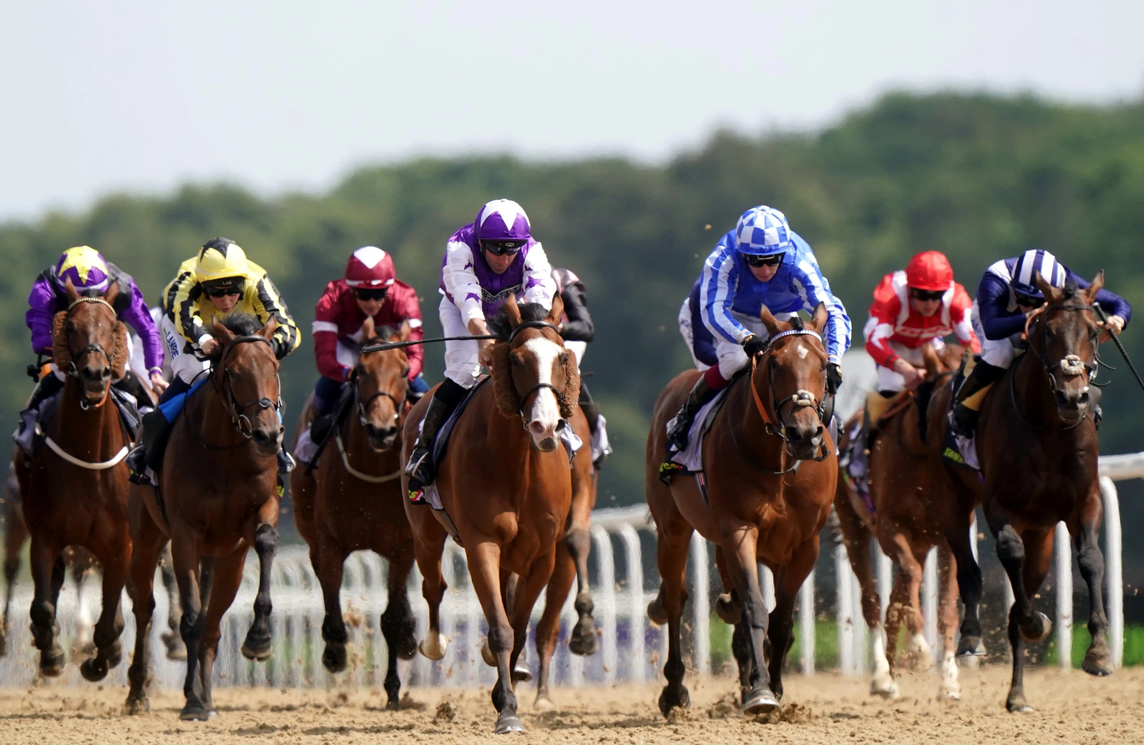 Calling the Wind ridden by jockey Neil Callan (centre, purple) wins the Jenningsbet Northumberland Plate with Golden Rules ridden by jockey Oisin Murphy (third right) second during day three 