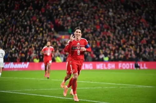 Harry Wilson of Wales. Pic. Alamy