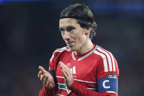 Harry Wilson of Wales. Pic. Alamy