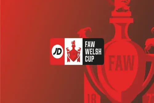 JD Welsh Cup log. Pic. Alamy