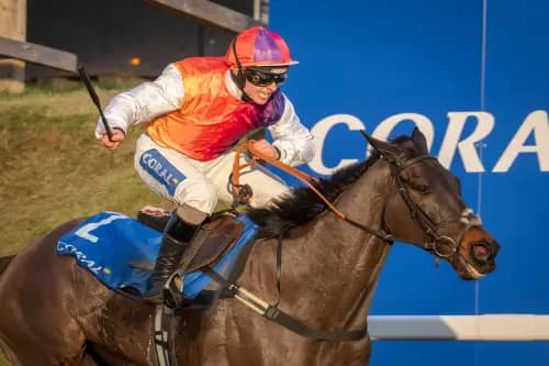 Haiti Couleurs with Sean Bowen on board. Pic: Alamy
