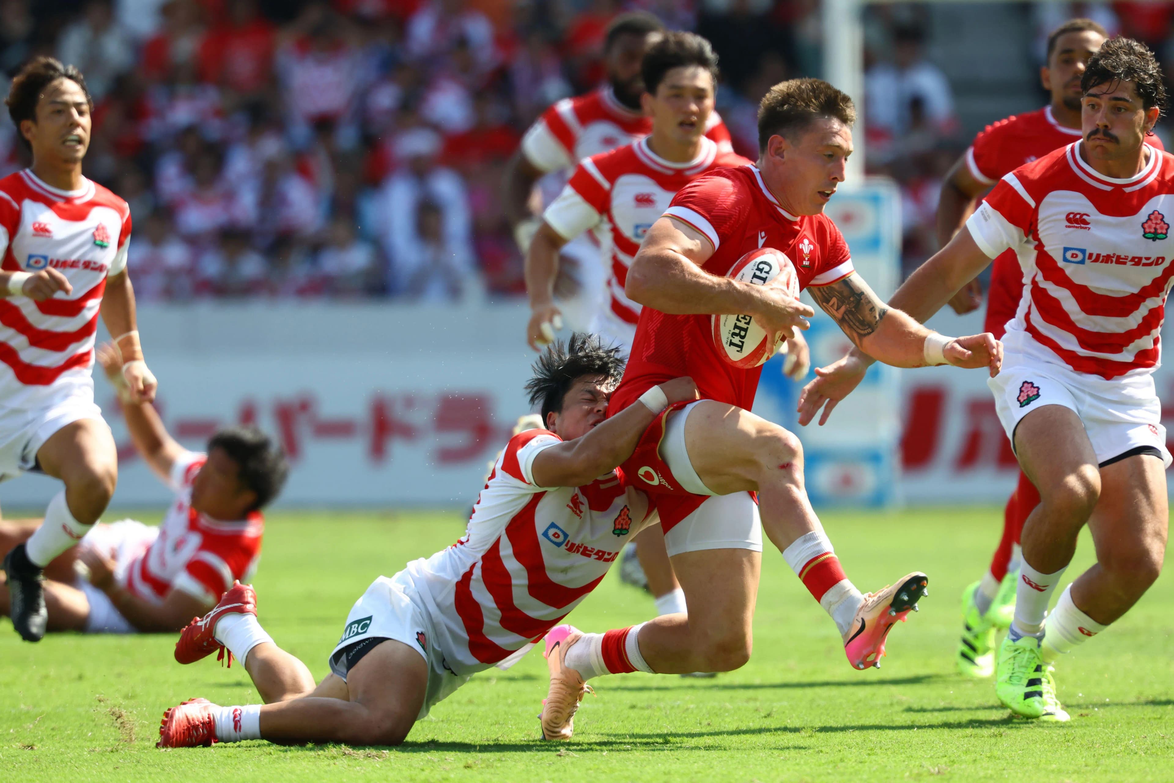 Josh Adams takes on the Japanese defence. Pic. Alamy