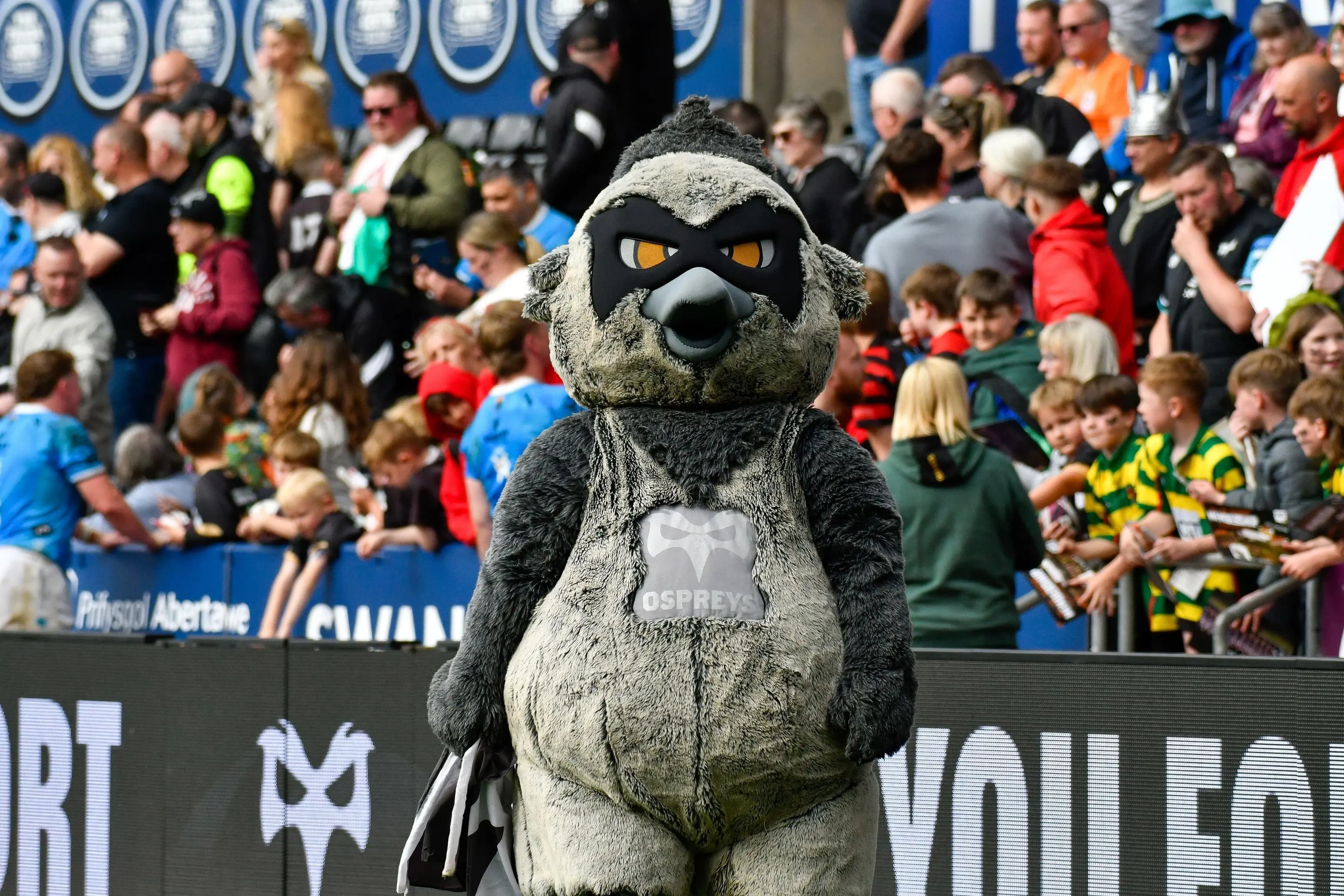 Ossie the Osprey, the Ospreys’ Official Mascot: Pic: Alamy.