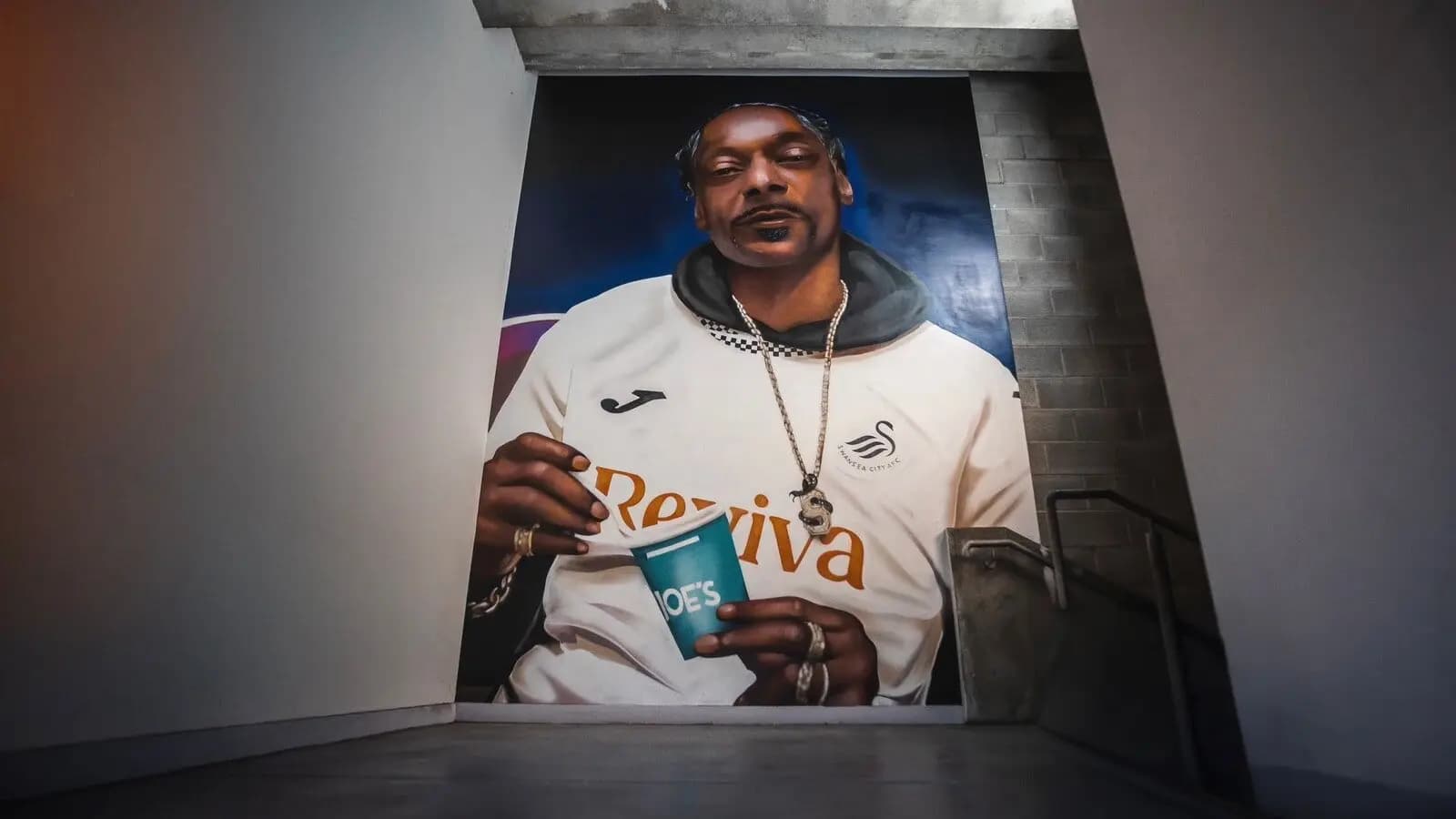 Dogghouse: Snoop Dogg is now on the West Stand concourse wall at the Swansea.Com Stadium