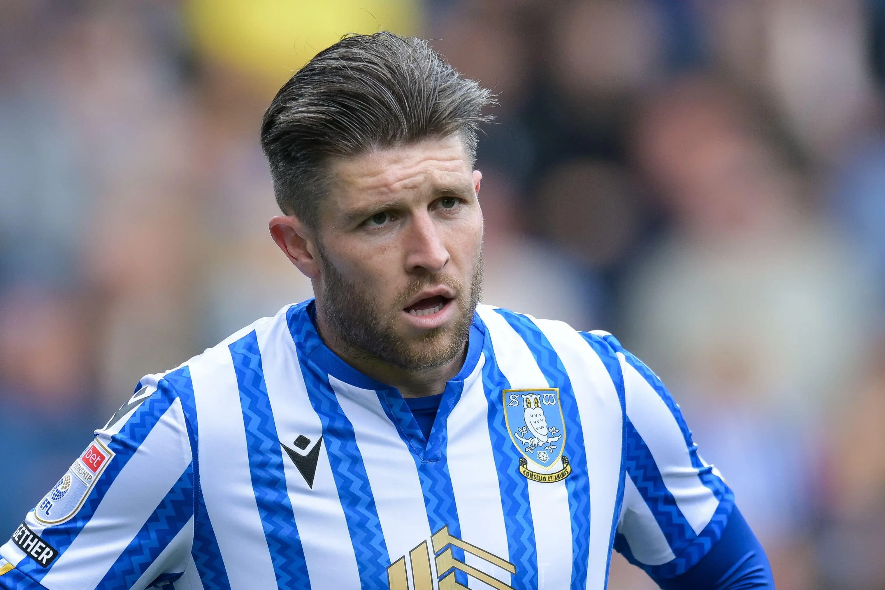 Sheffield Wednesday's Josh Windass. Pic. Alamy