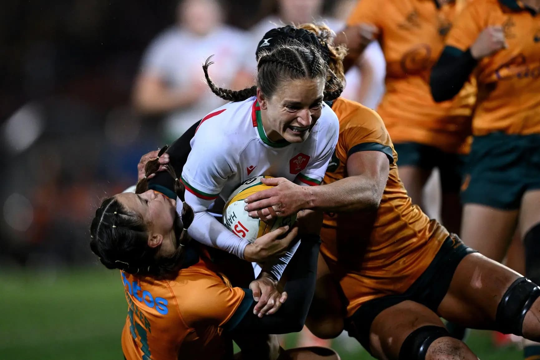 Australia Wales rugby. Pic. Alamy