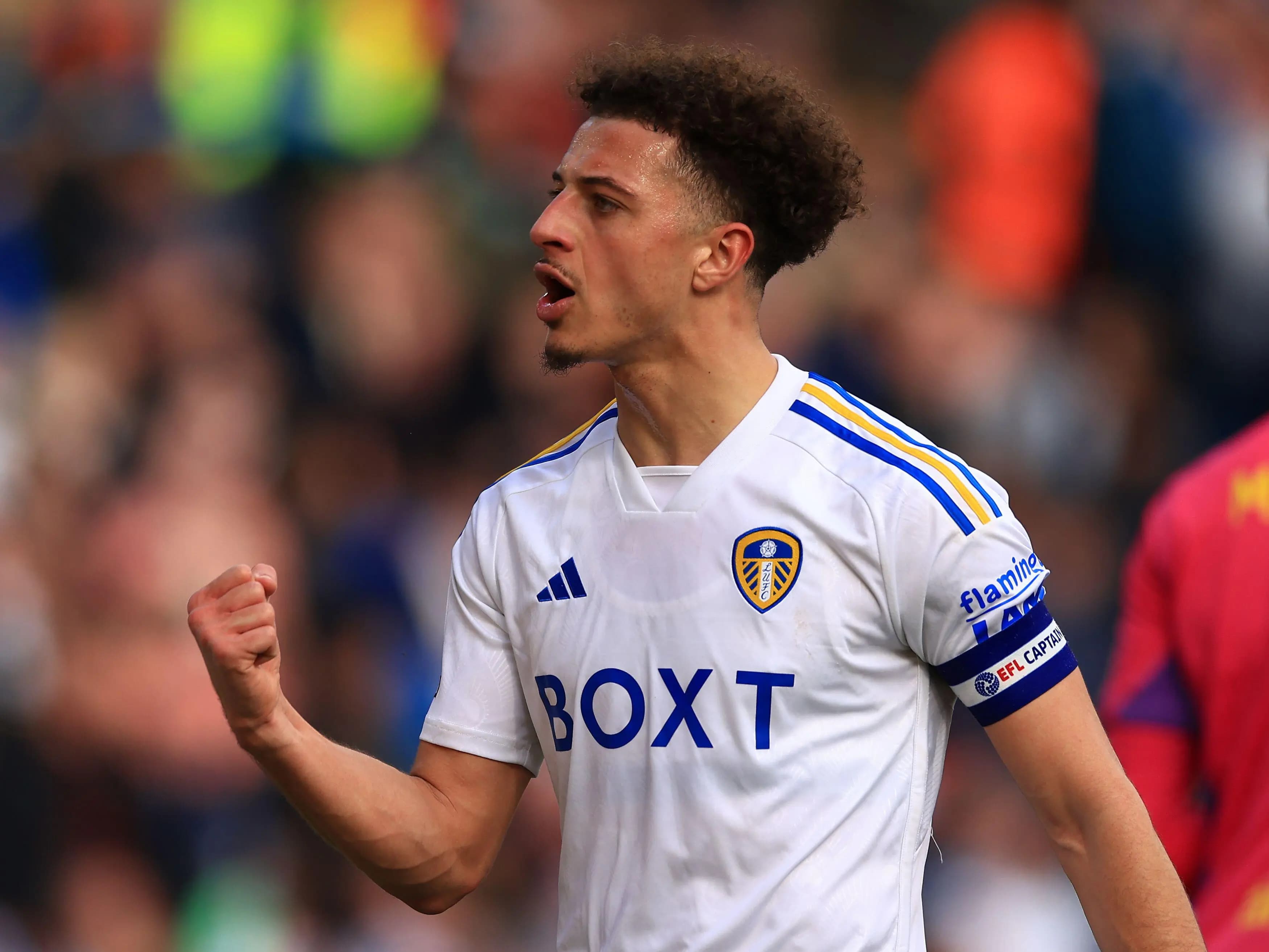 Ethan Ampadu of Leeds United and Wales. Pic: Alamy
