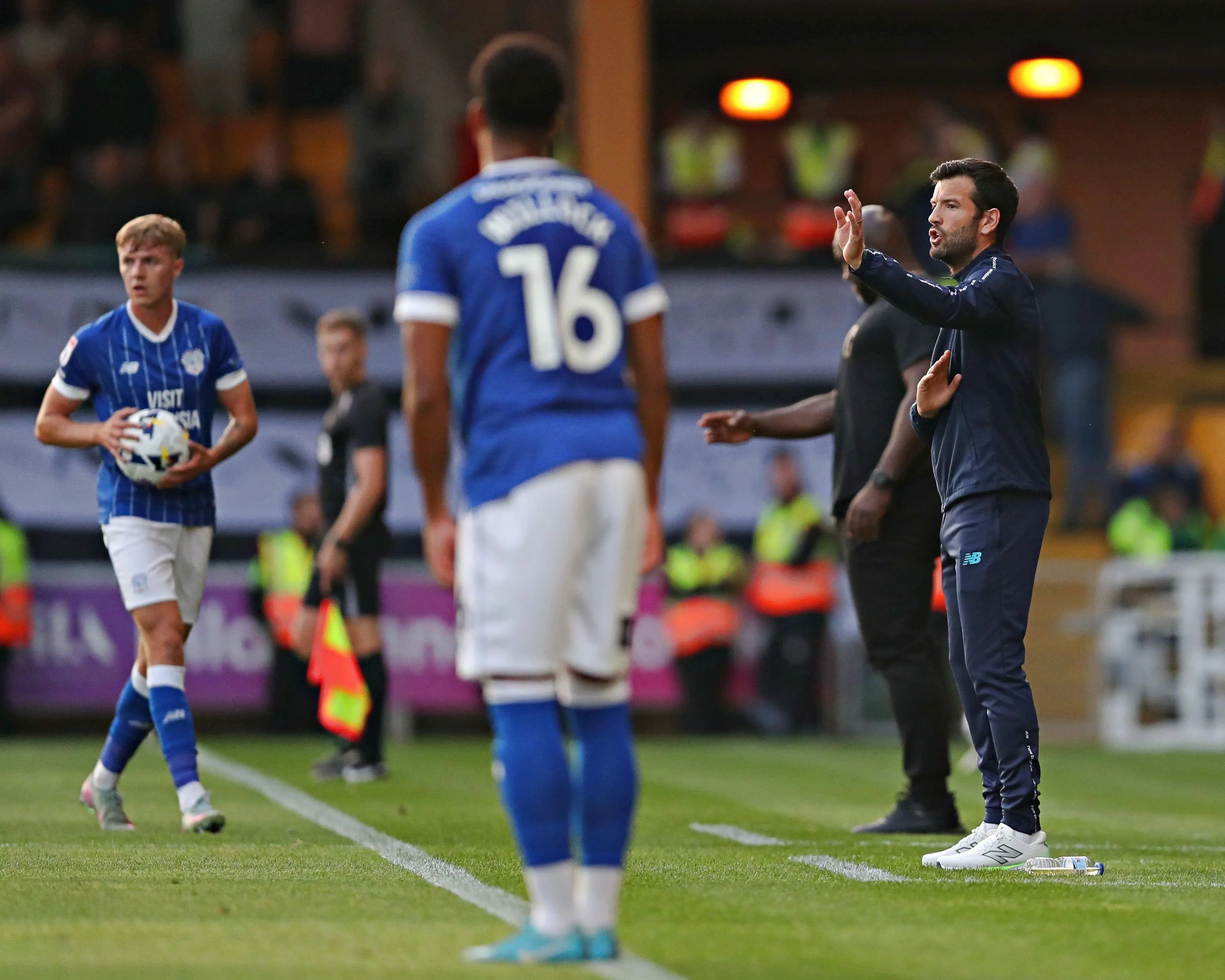 Brian Barry-Murphy, Manager of Cardiff City F.C. Pic. Alamy