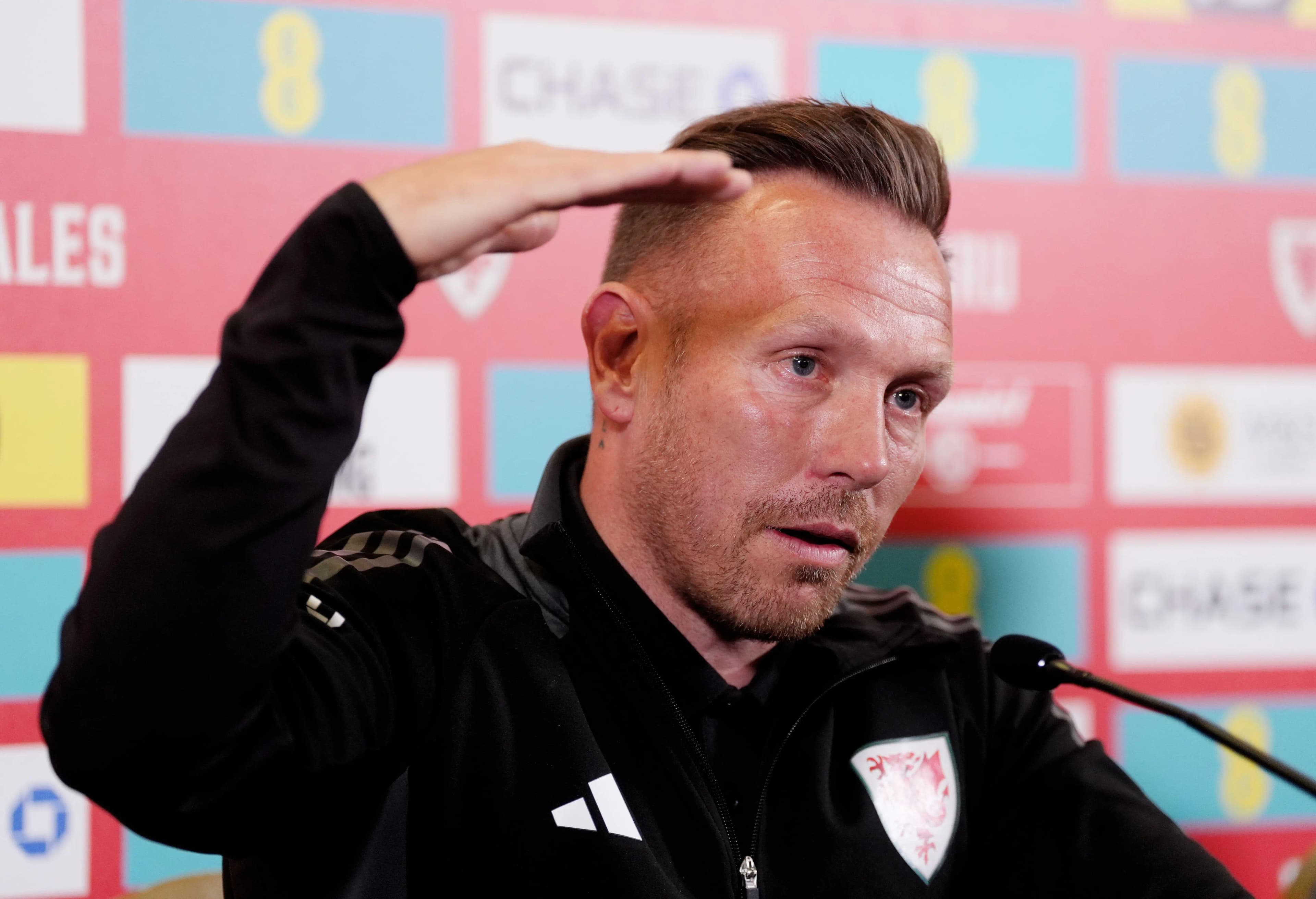 Craig Bellamy of Wales. Pic. Alamy