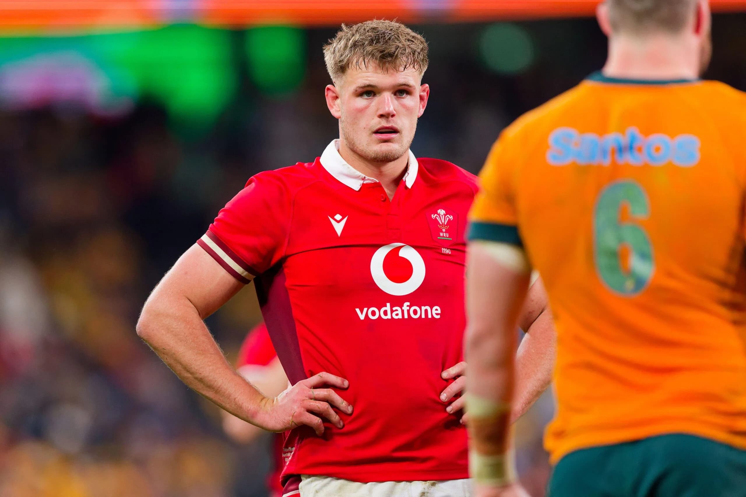 Taine Plumtree of Wales. Pic: IOIO IMAGES / Alamy Stock Photo