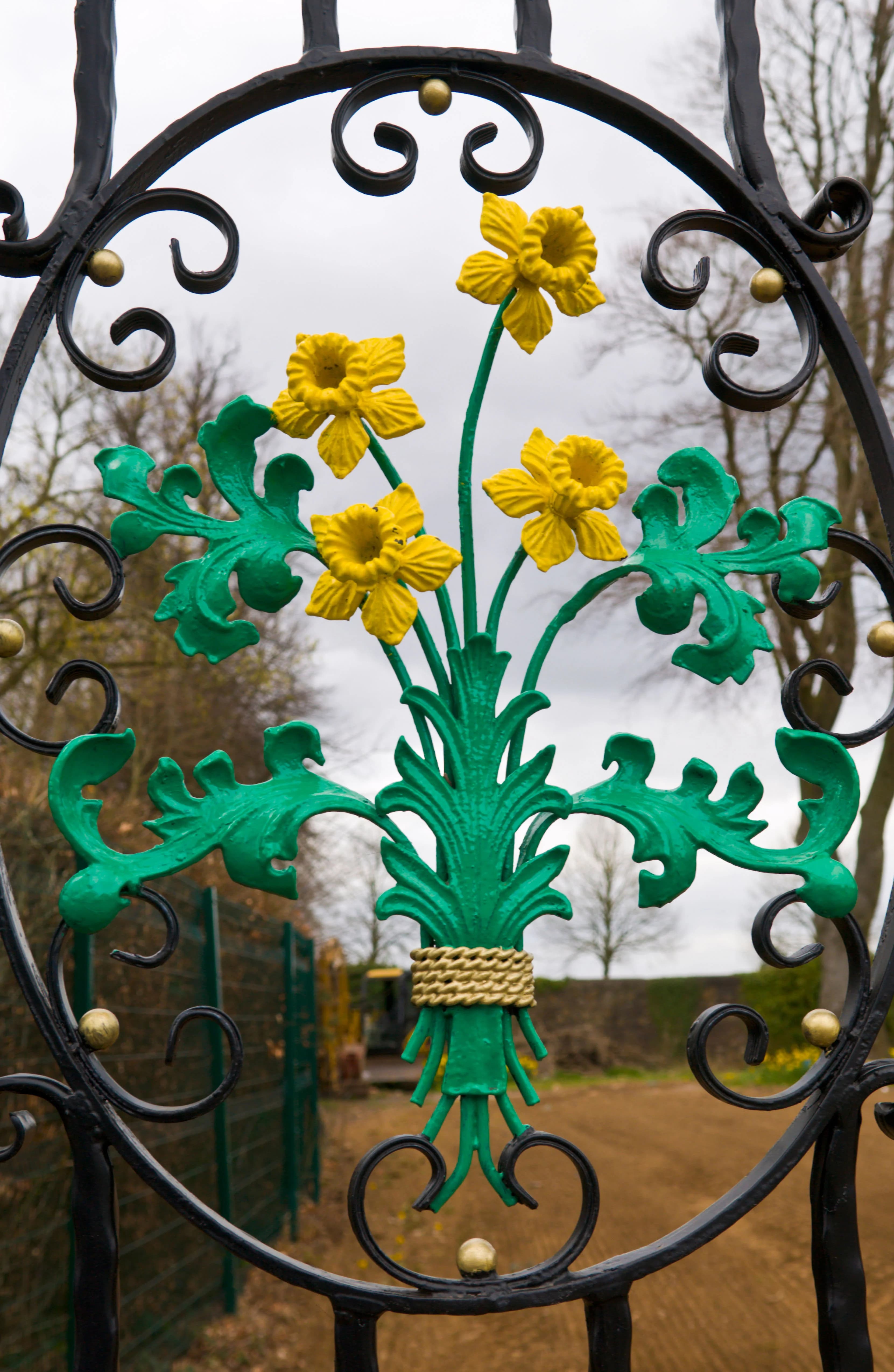 Glamorgan cricket ground Sophia Gardens Cardiff South Wales UK daffodil motif on entrance gates. Credit Jeff Morgan Alamy