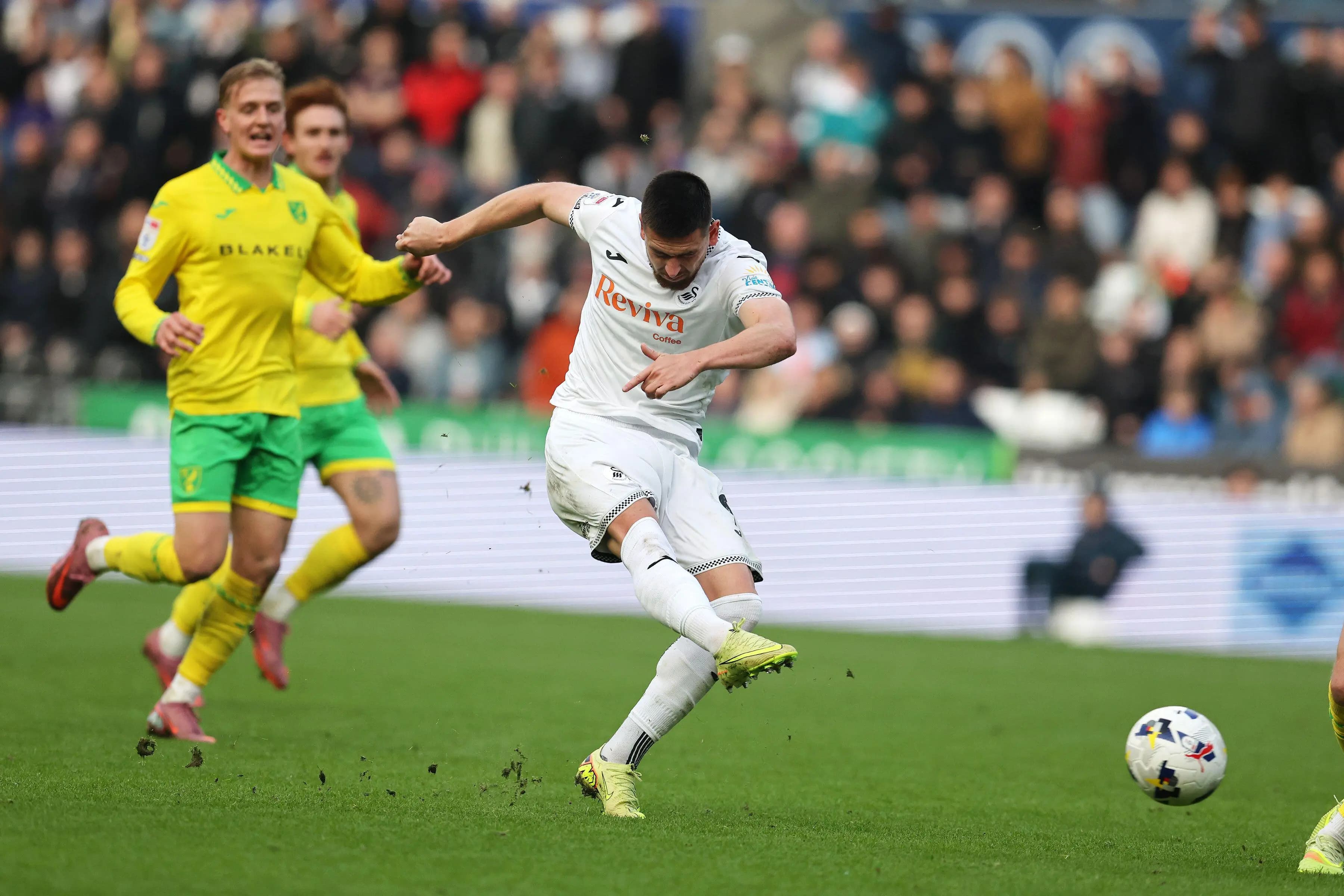 Zan Vipotnik of Swansea City. Pic. Alamy
