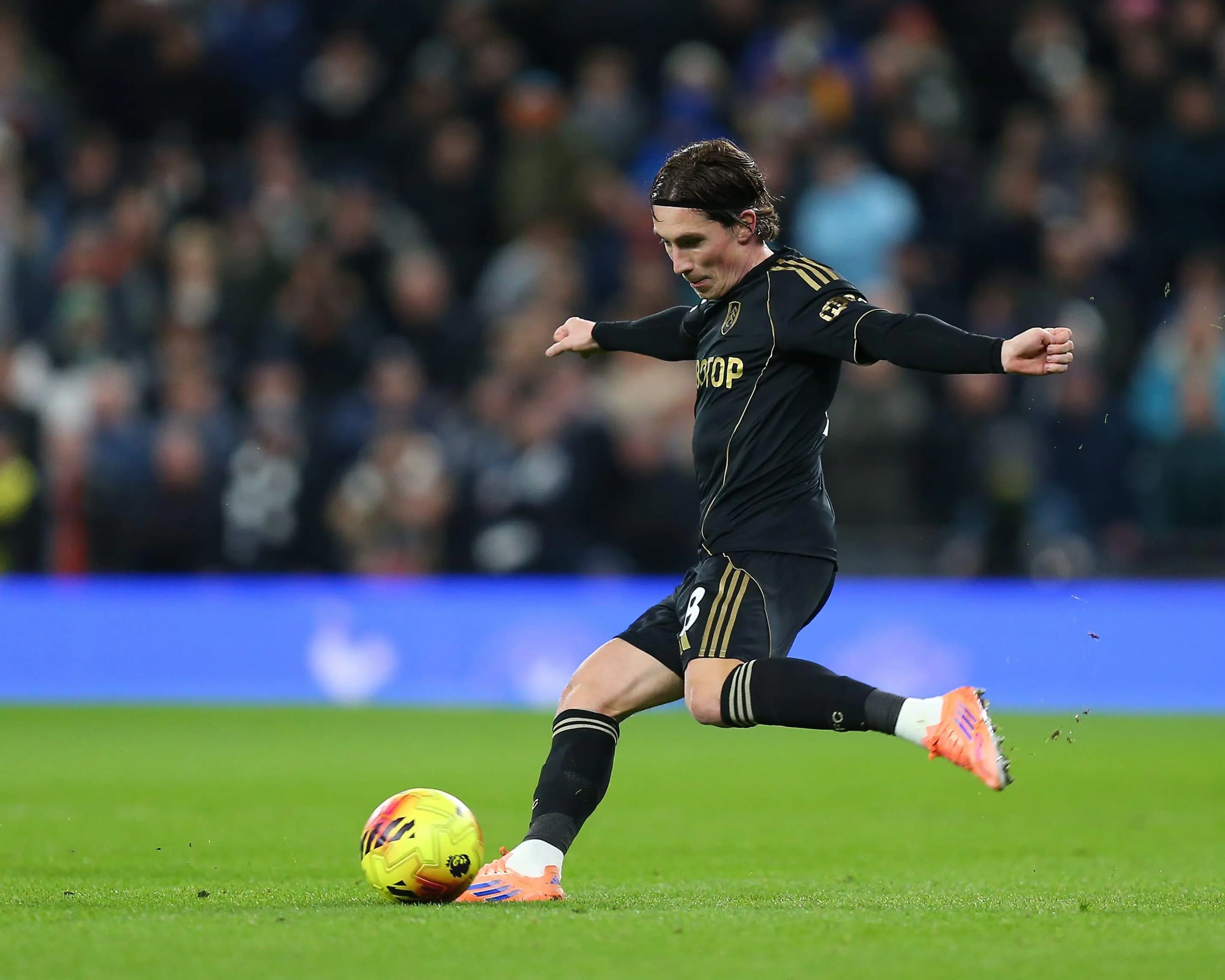 Wales and Fulham star Harry Wilson. Pic: Alamy