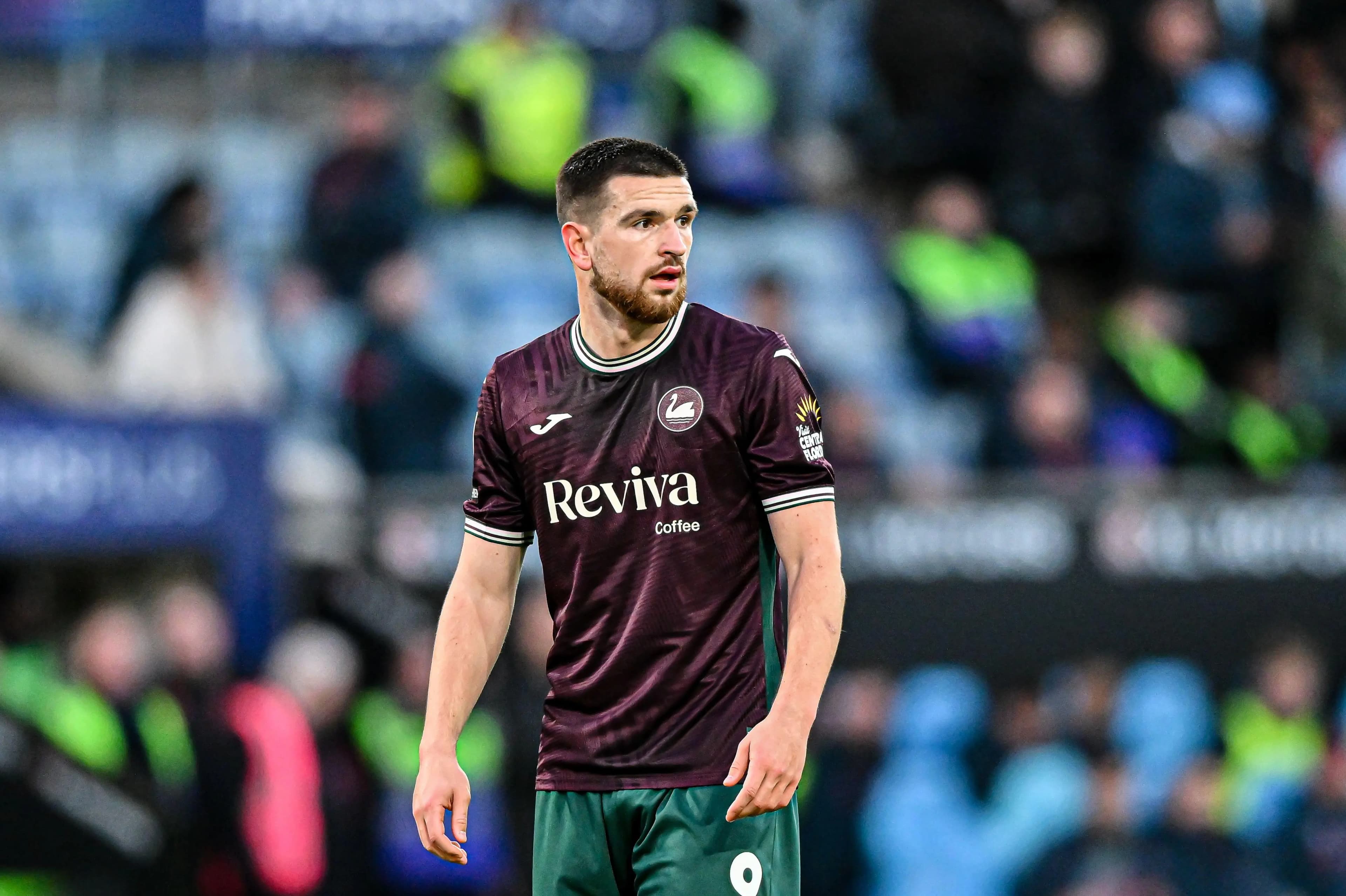 Swansea City striker Zan Vipotnik. Pic: Alamy