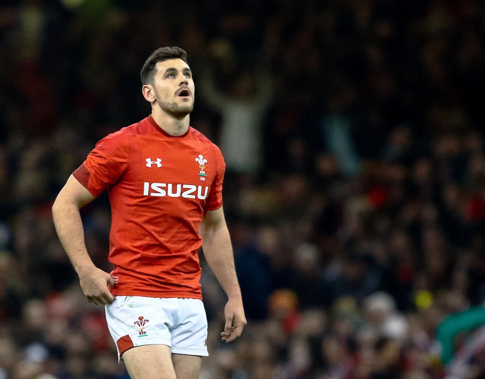 Tomos Williams during the Wales V South Africa match - Credit Simon King
