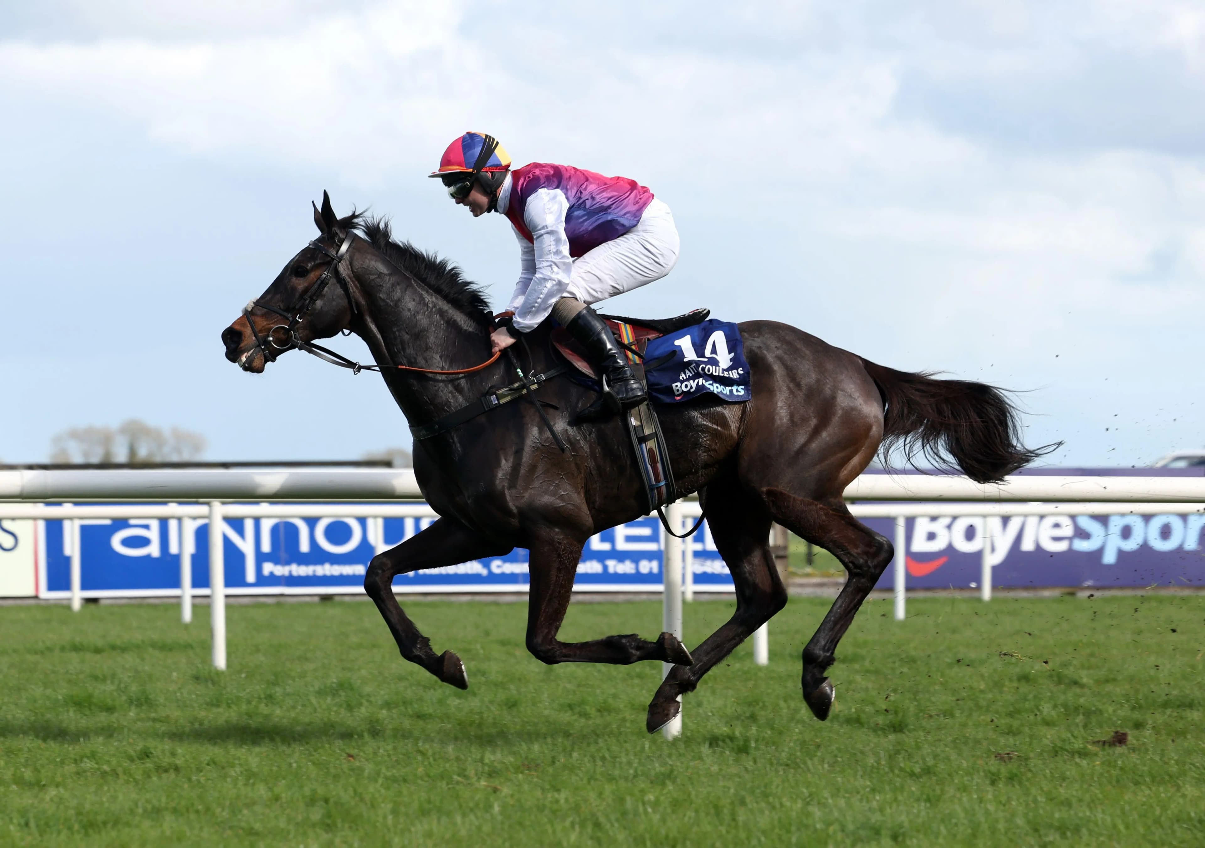 Sean Bowen on Haiti Couleurs. Pic: Alamy