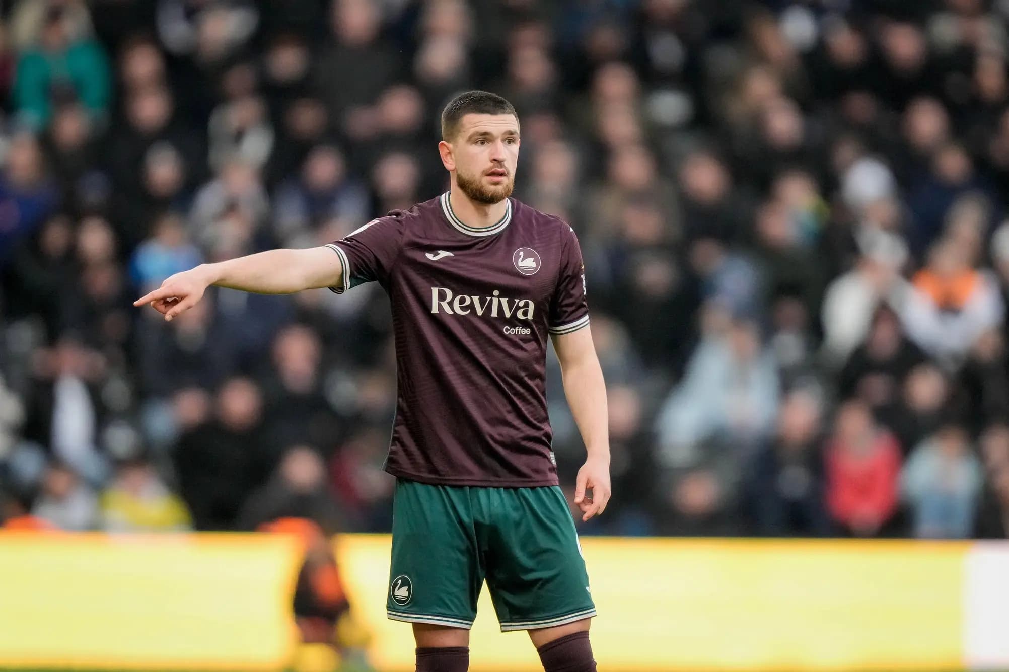 Zan Vipotnik of Swansea City. Pic: Alamy