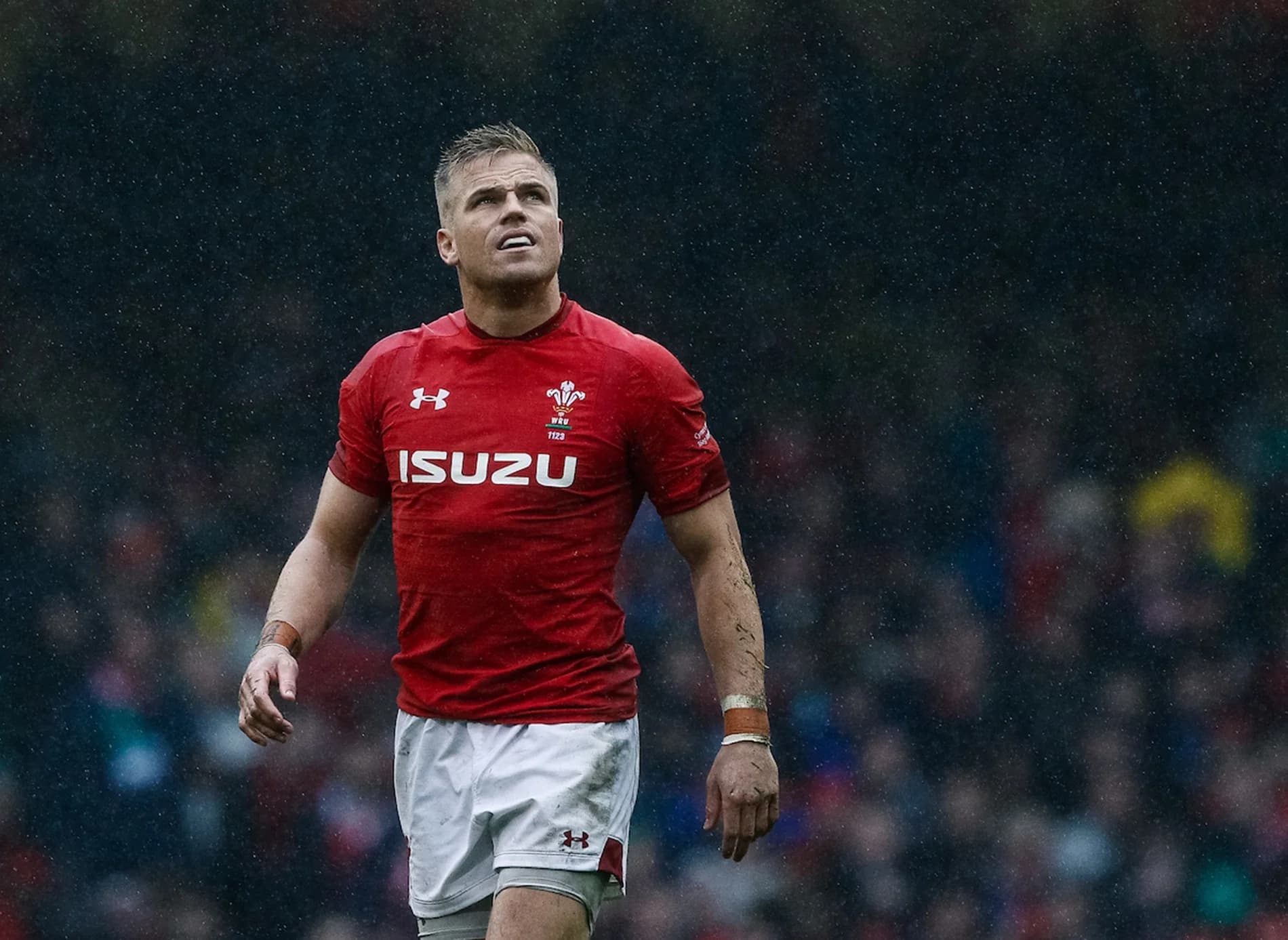 Gareth Anscombe of Wales - 2019 Six Nations match against Ireland - Credit: Simon King/Replay Images