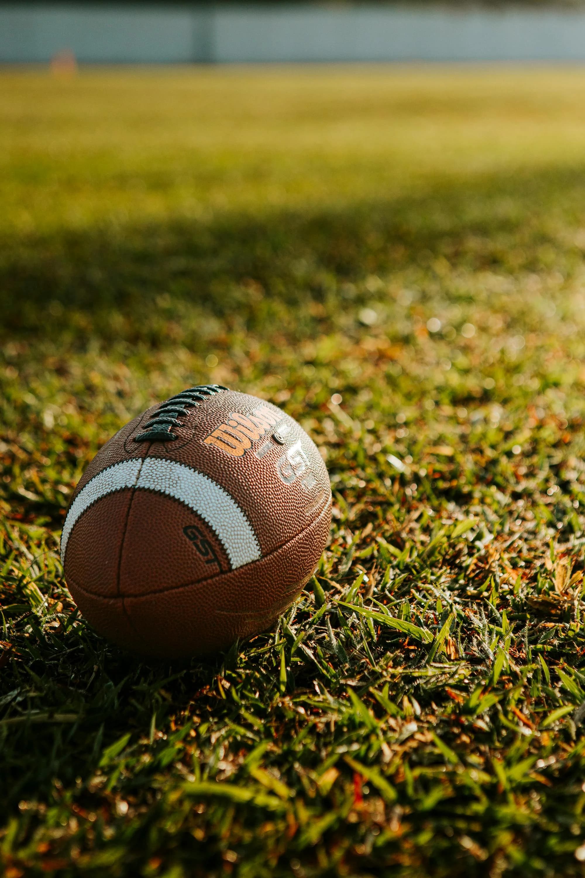 Gridiron ball