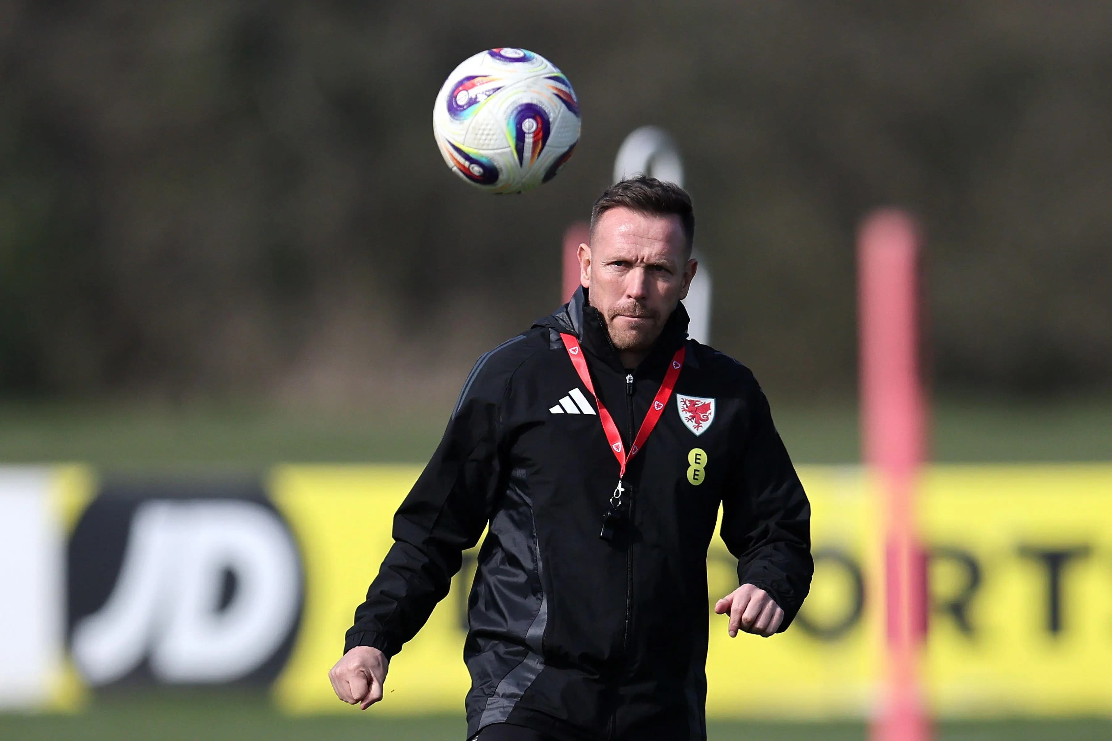 Craig Bellamy, the head coach/manager of Wales. Pic: Alamy