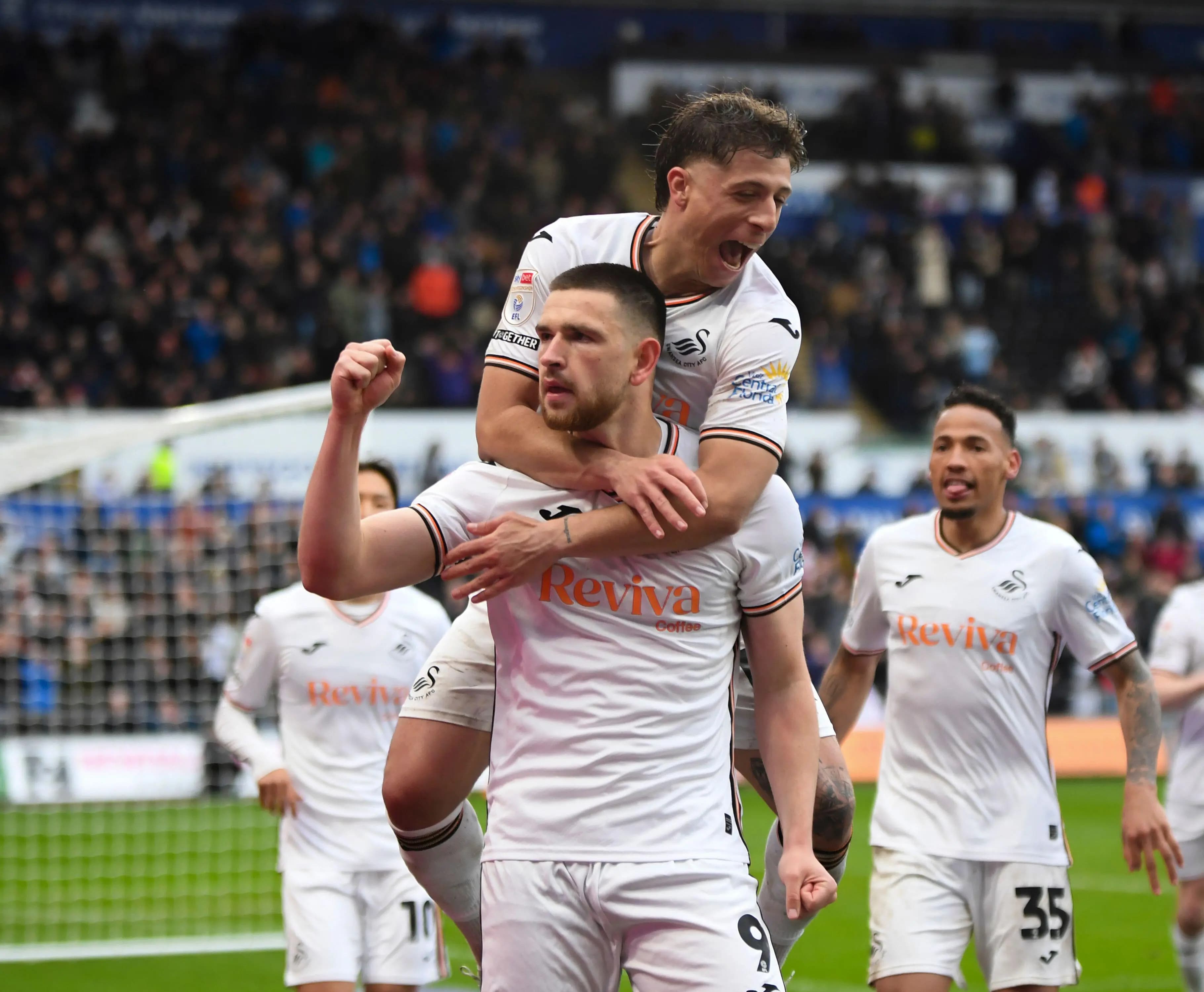 Zan Vipotnik of Swansea City. Pic: Alamy