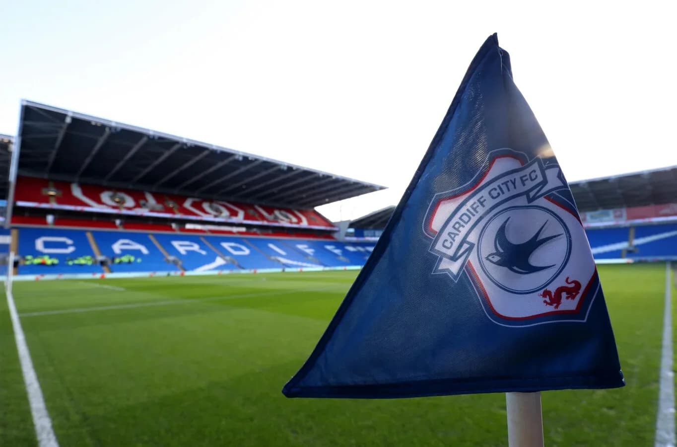 Cardiff city crest on the pitch - credit Alamy