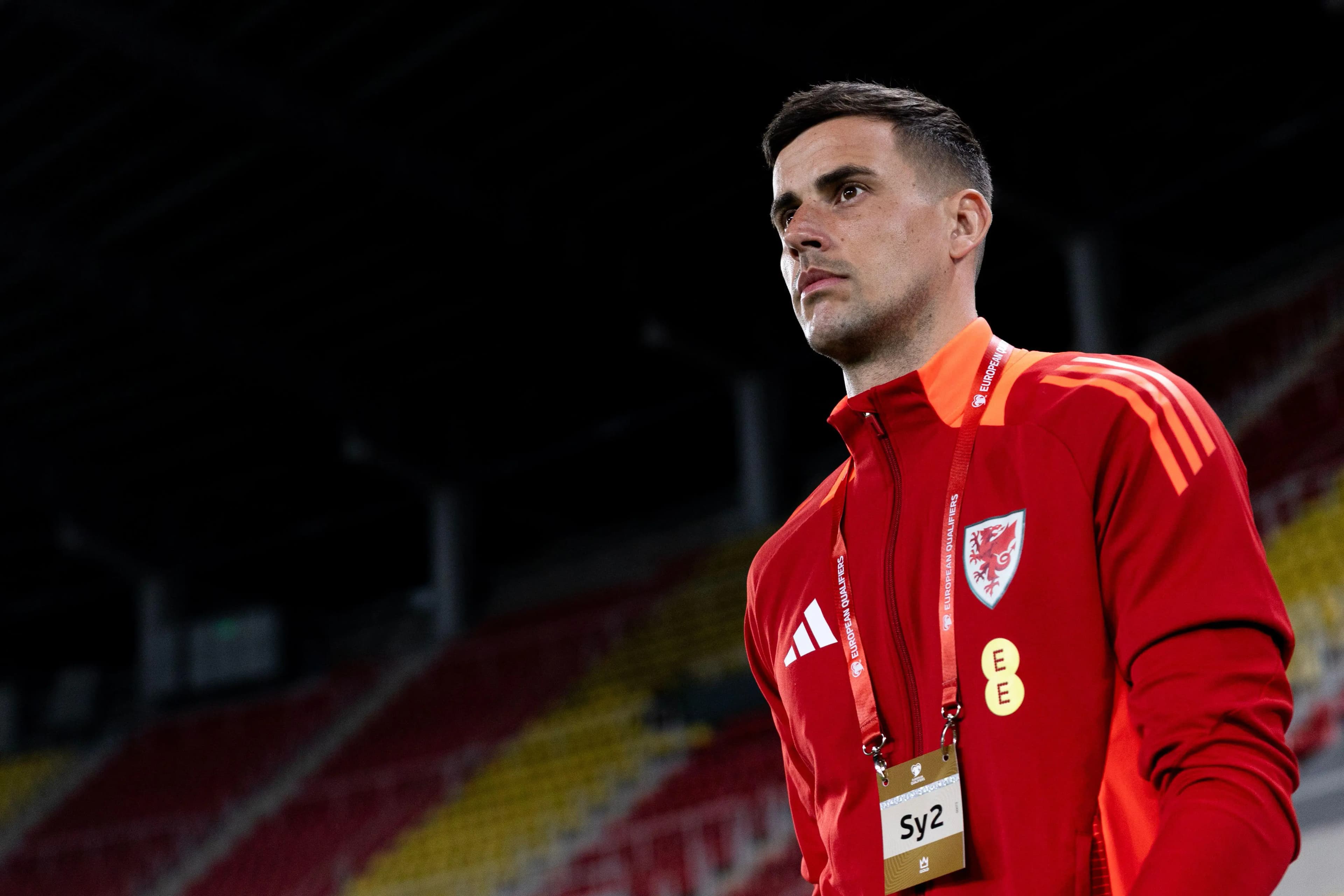 Wales' goalkeeper Karl Darlow. Pic: Alamy