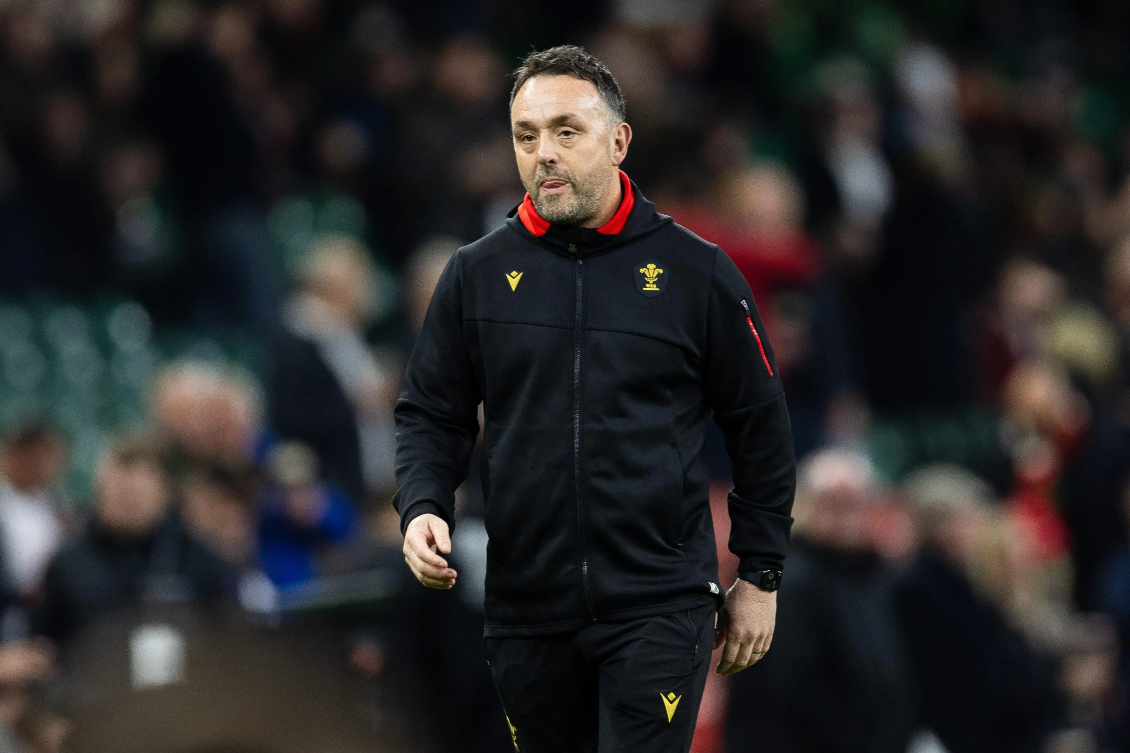 Interim Head Coach Matt Sherratt. Pic: Alamy