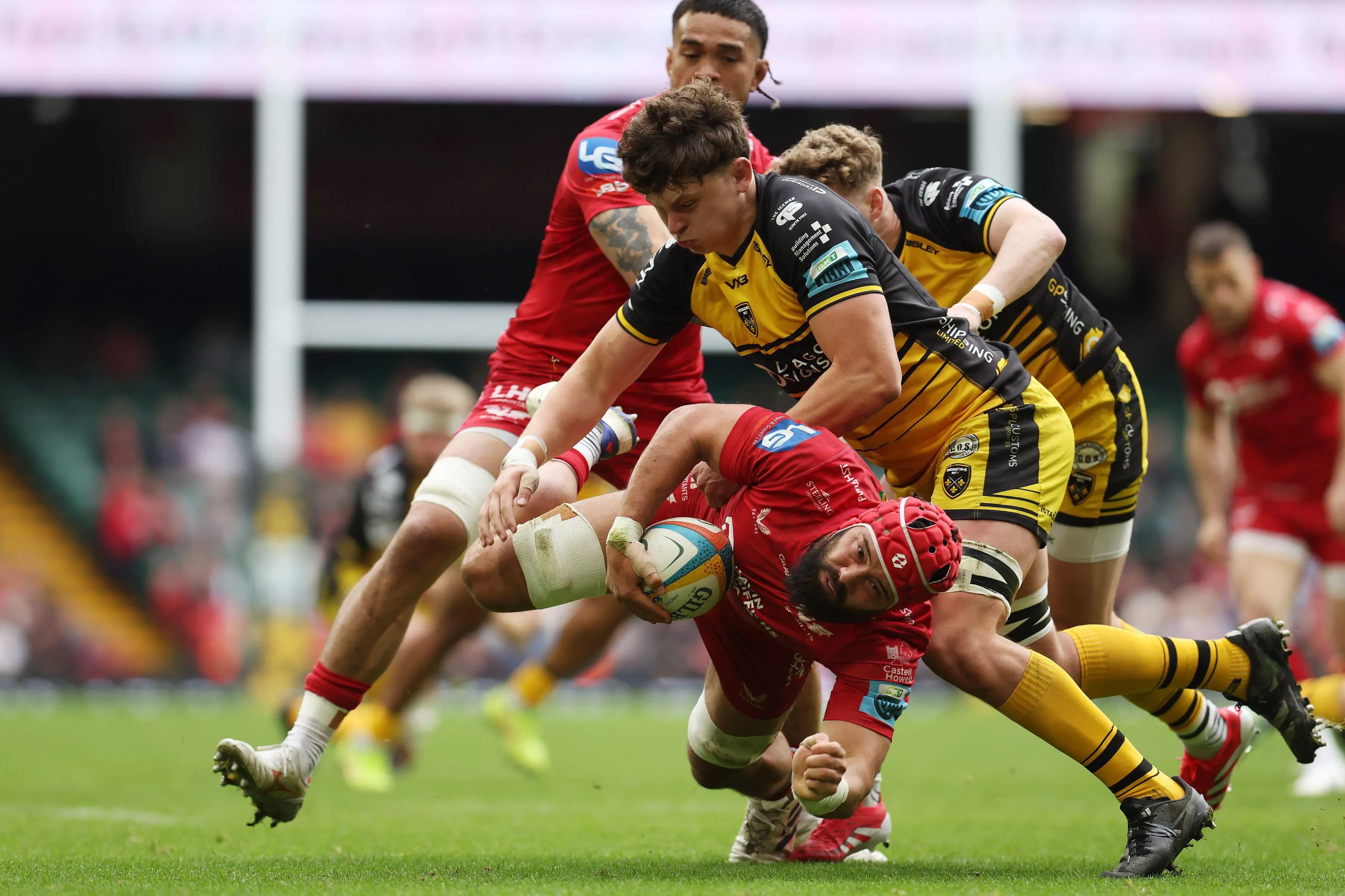 Josh Macleod of Scarlets. Pic: Alamy