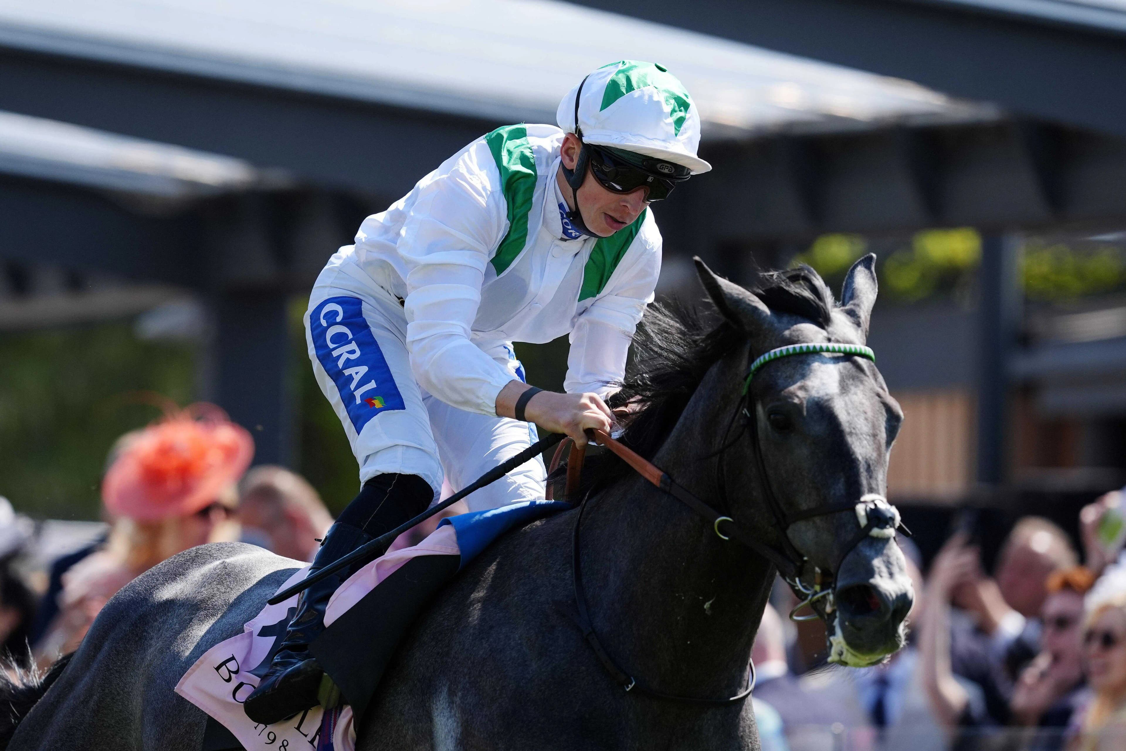 David Brobert on Al Wasl Storm. Pic: Getty