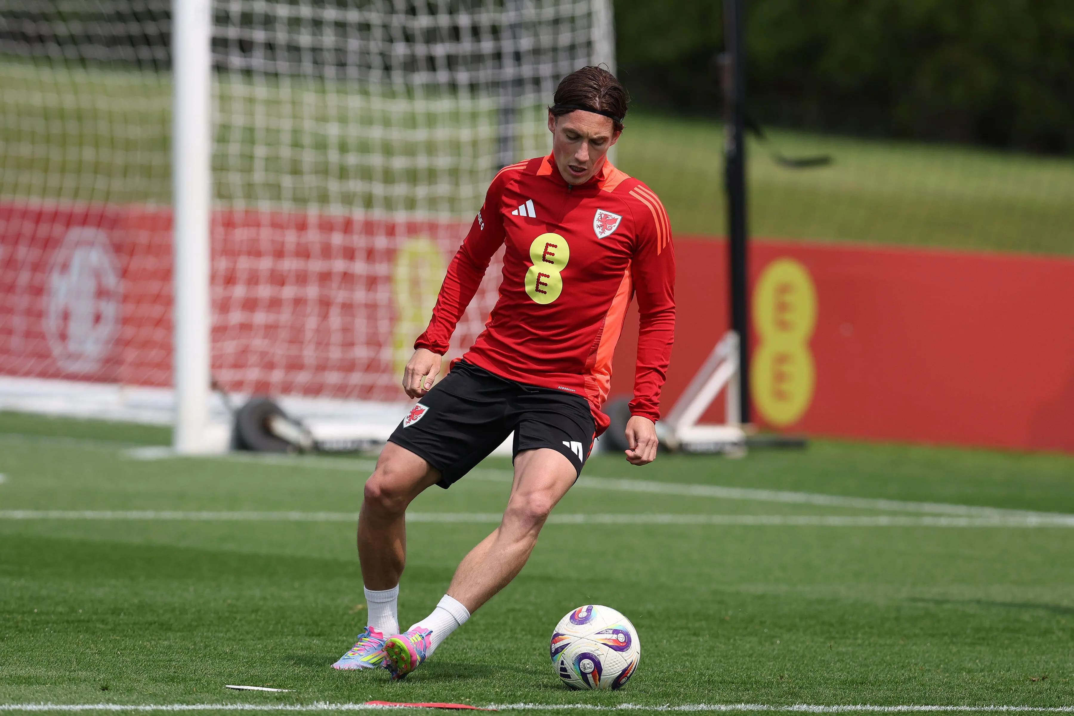 Harry Wilson of Wales. Pic. Alamy