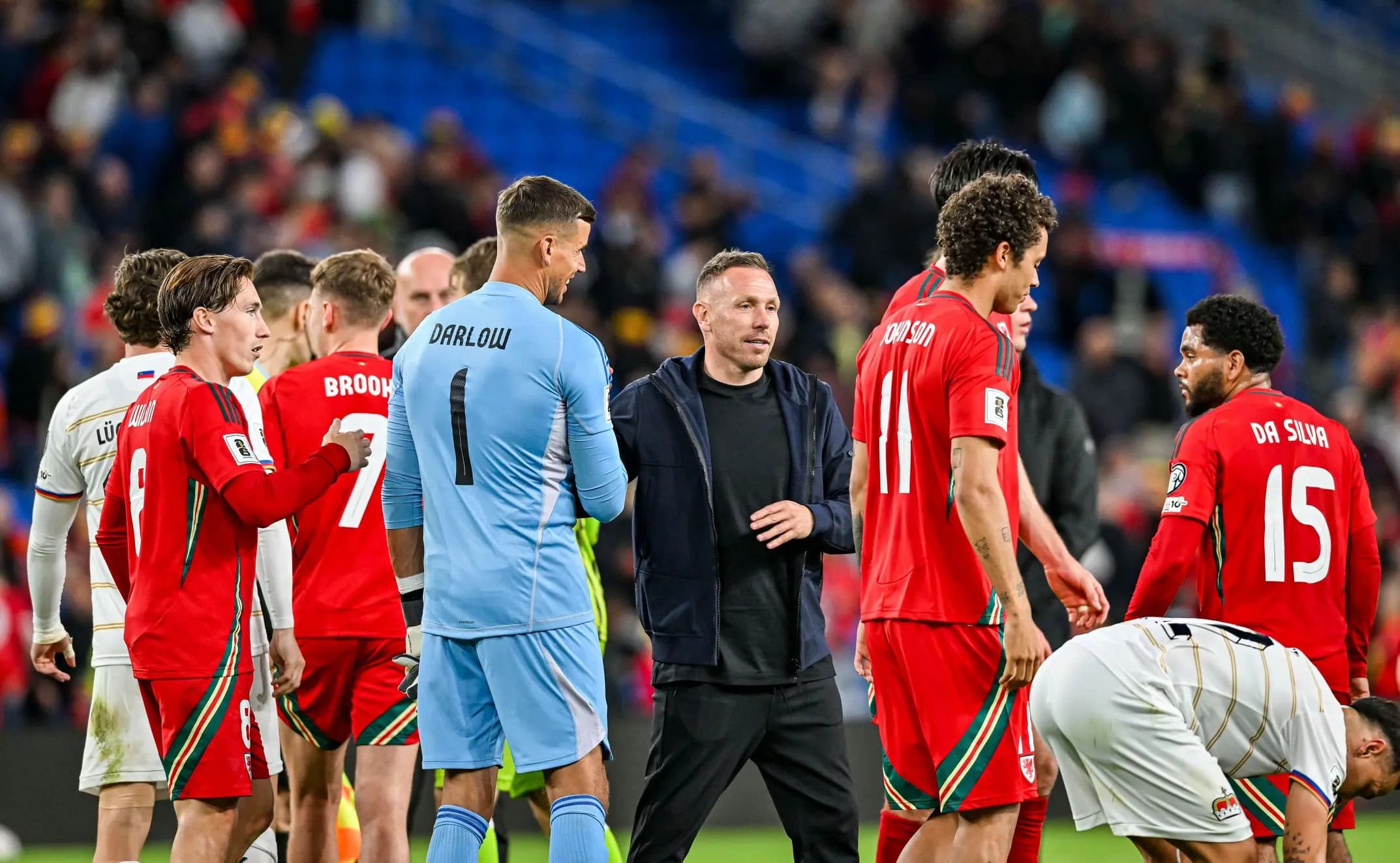 Craig Bellamy of Wales. Pic. Alamy