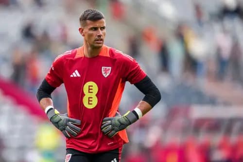 Wales goalkeeper Karl Darlow. Pic. Alamy