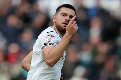 Zan Vipotnik of Swansea City. Pic: Alamy