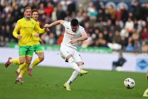 Zan Vipotnik of Swansea City. Pic. Alamy