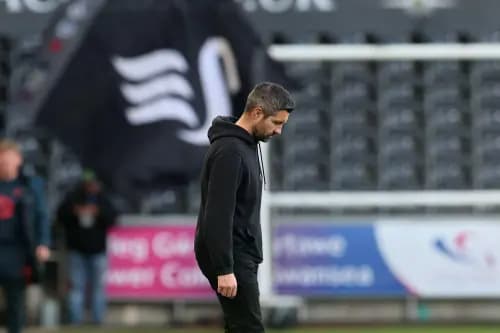 Alan Sheehan, the head coach/manager of Swansea city. Pic. Alamy