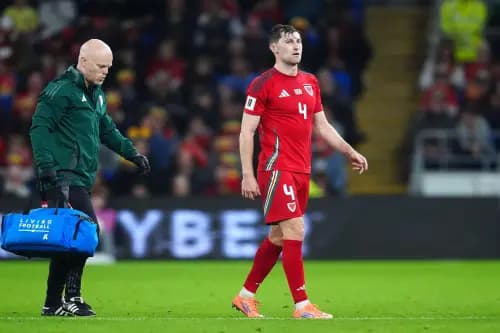 Wales' Ben Davies. Pic. Alamy
