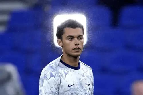 New Crystal Palace signing Brennan Johnson. Pic: Alamy