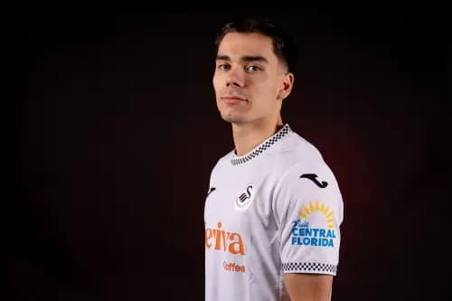 Swansea City's Leo Walta. Pic: Alamy