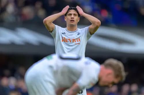 Marko Stameni 6 Swansea City. Pic. Alamy