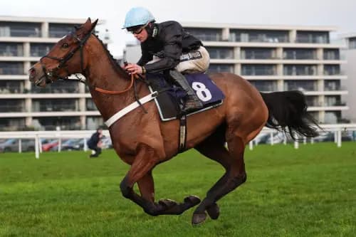 Holloway Queen ridden by James Bowen. Pic. Alamy