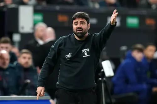 Swansea City manager Vitor Matos. Pic. Alamy